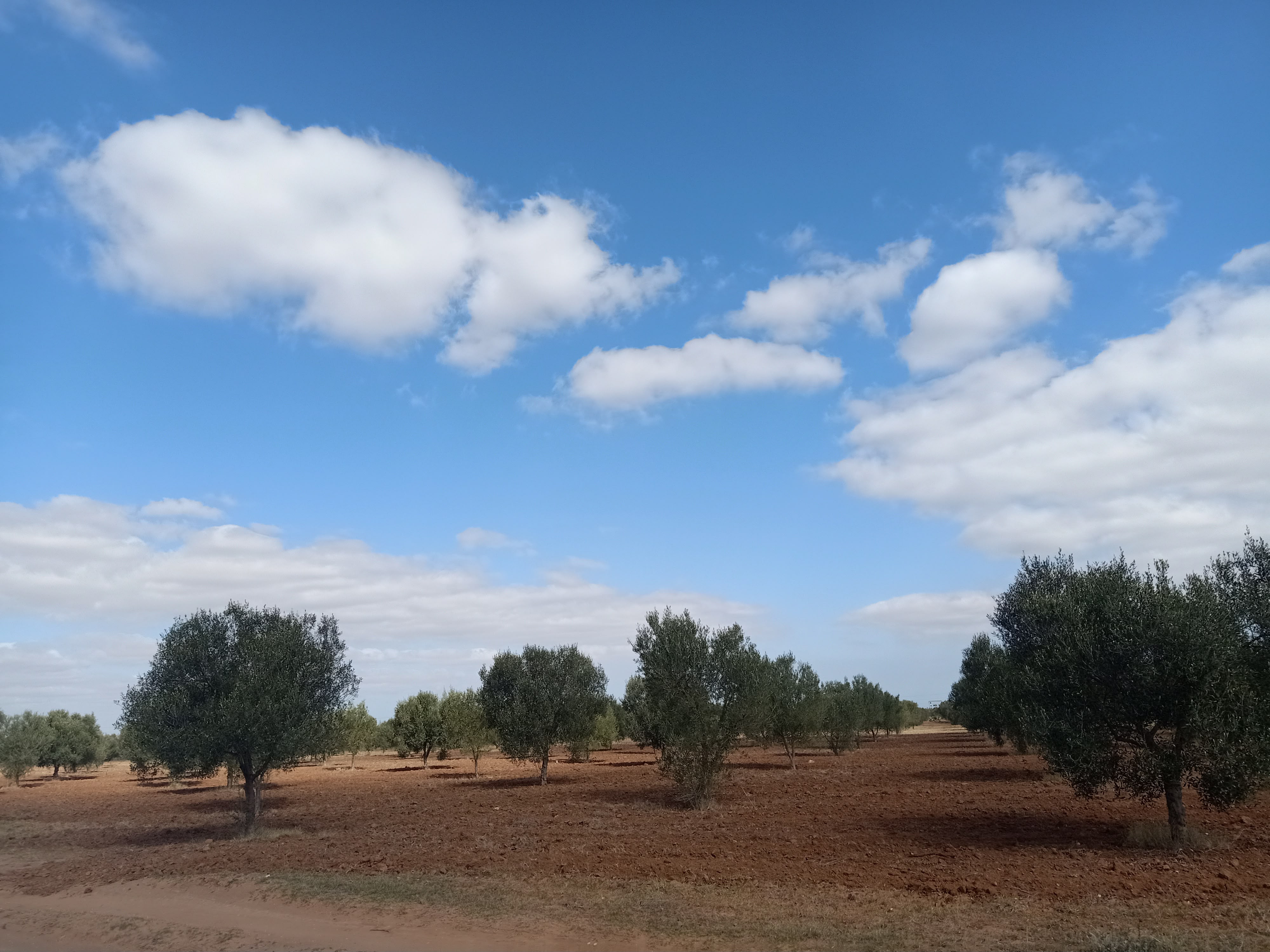 Terrain&nbsp;Terrain nu