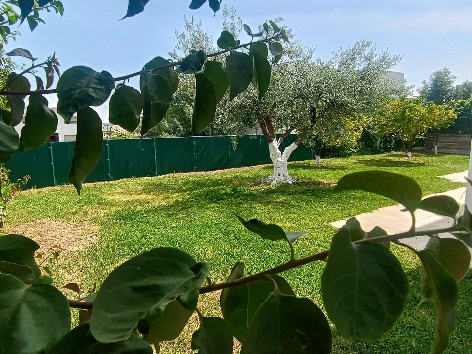 El Menzah&nbsp;El Menzah 9&nbsp;Location&nbsp;Appart. 4 pi�ces&nbsp;Rez de jardin de villa de 520 m2 � el menzah7