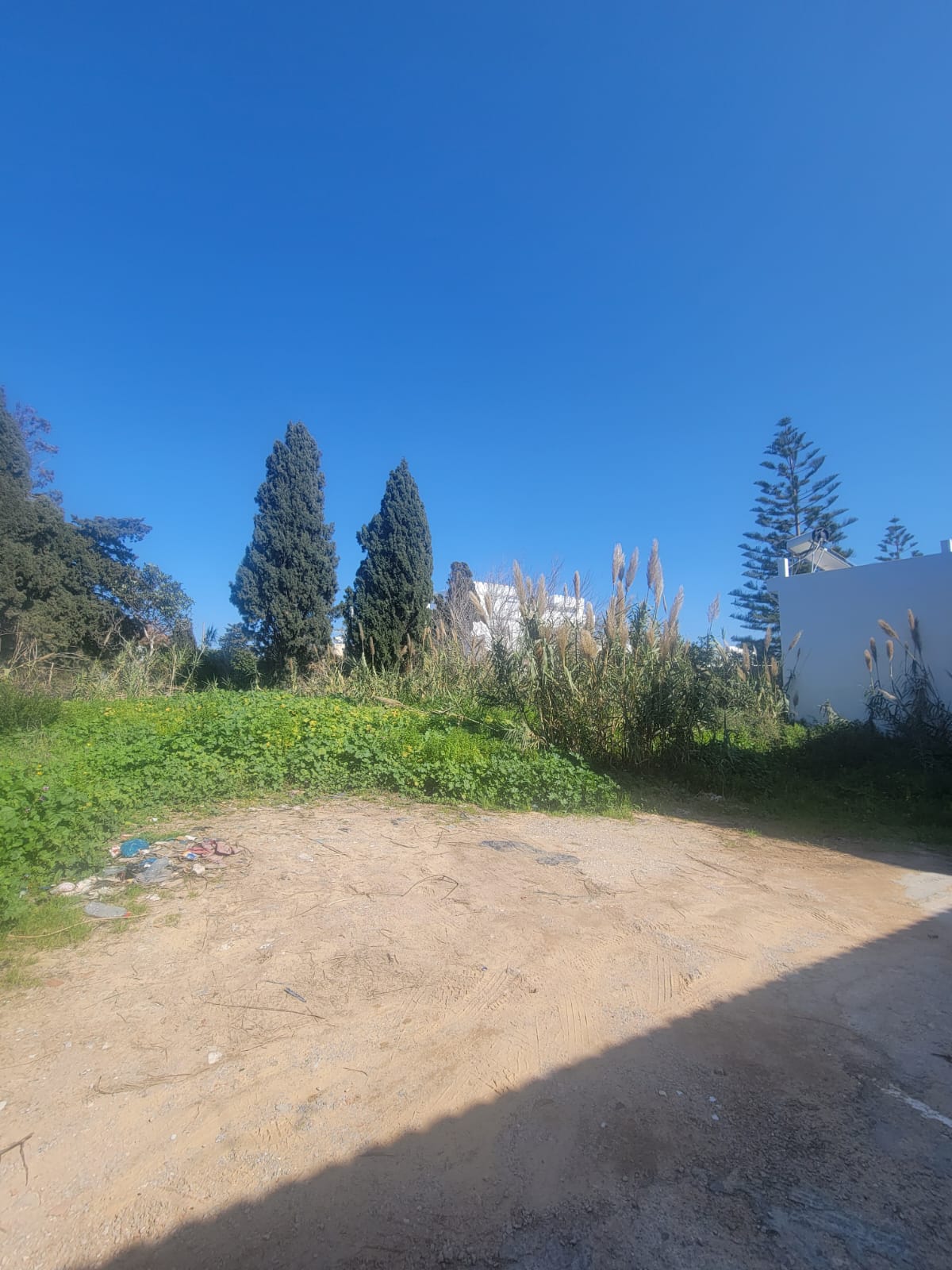 Terrain&nbsp;Terrain nu