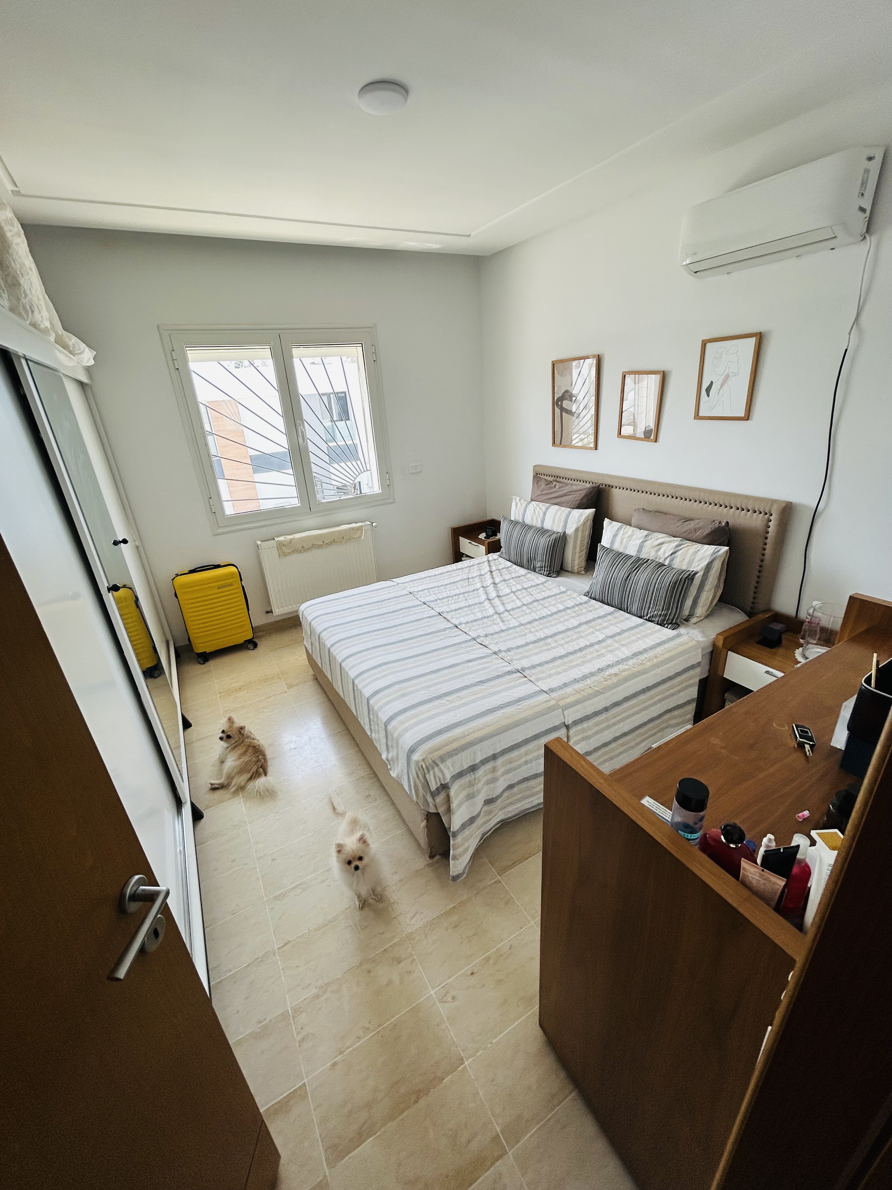 Location&nbsp;Appart. 3 pi�ces