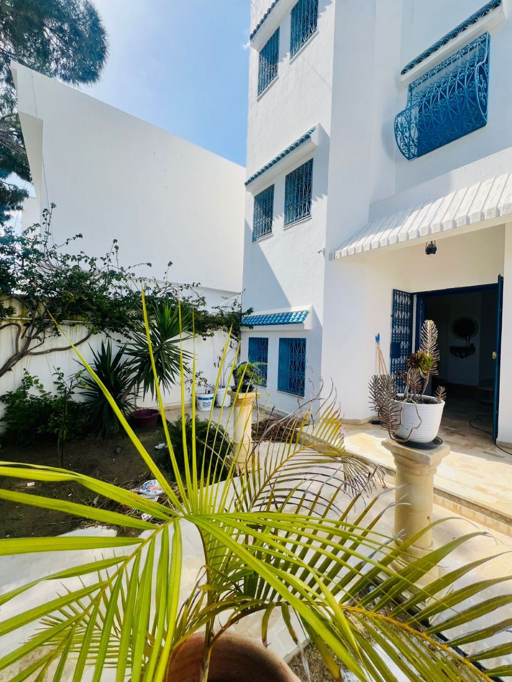 Hammamet&nbsp;Hammamet&nbsp;Vente&nbsp;Maisons&nbsp;V616 maison la palma qd
