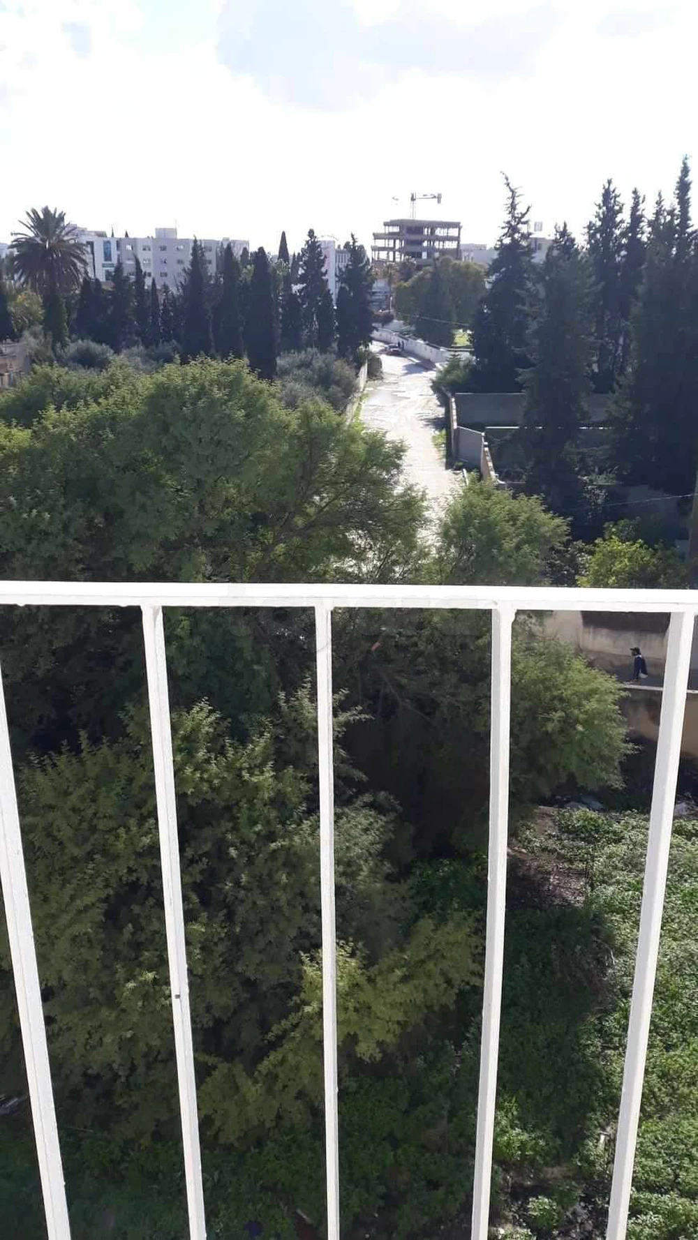 Ariana Ville&nbsp;Ariana&nbsp;Location&nbsp;Appart. 3 pi�ces&nbsp;Appartement tr�s proche d'africa mall