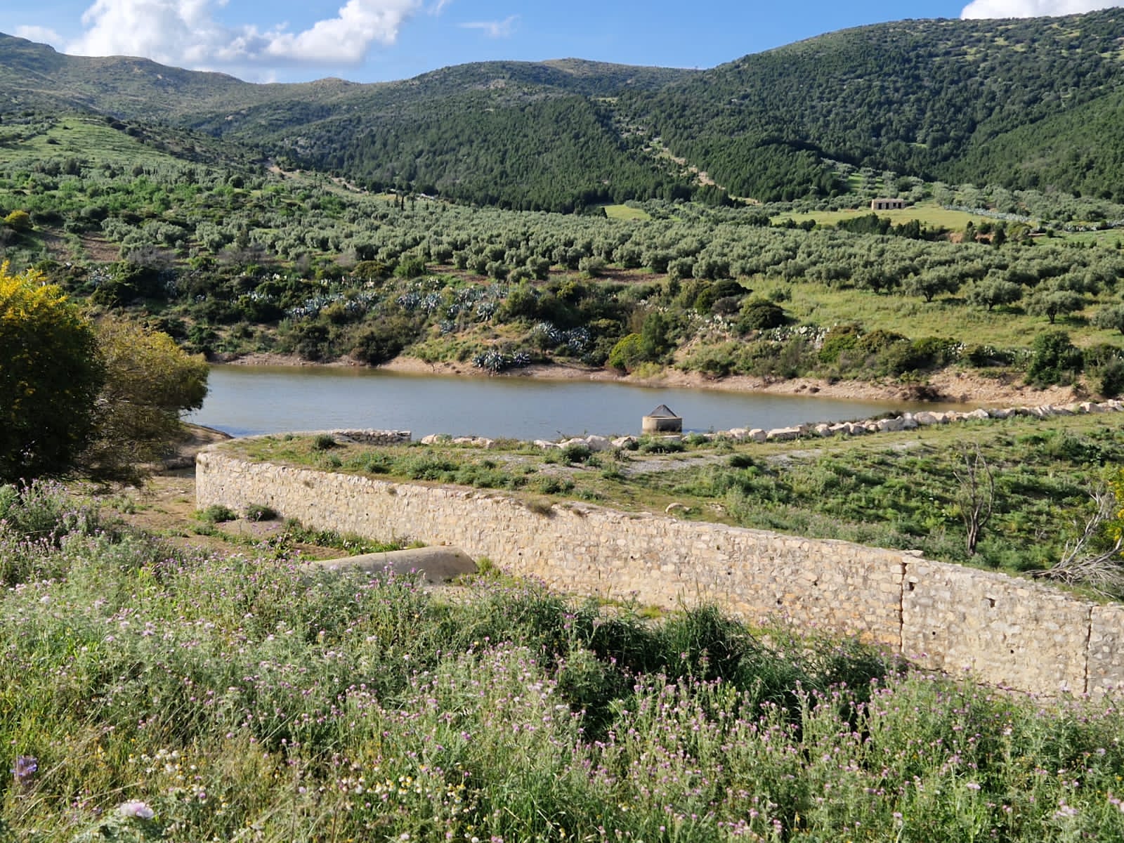 Terrain&nbsp;Terrain agricole