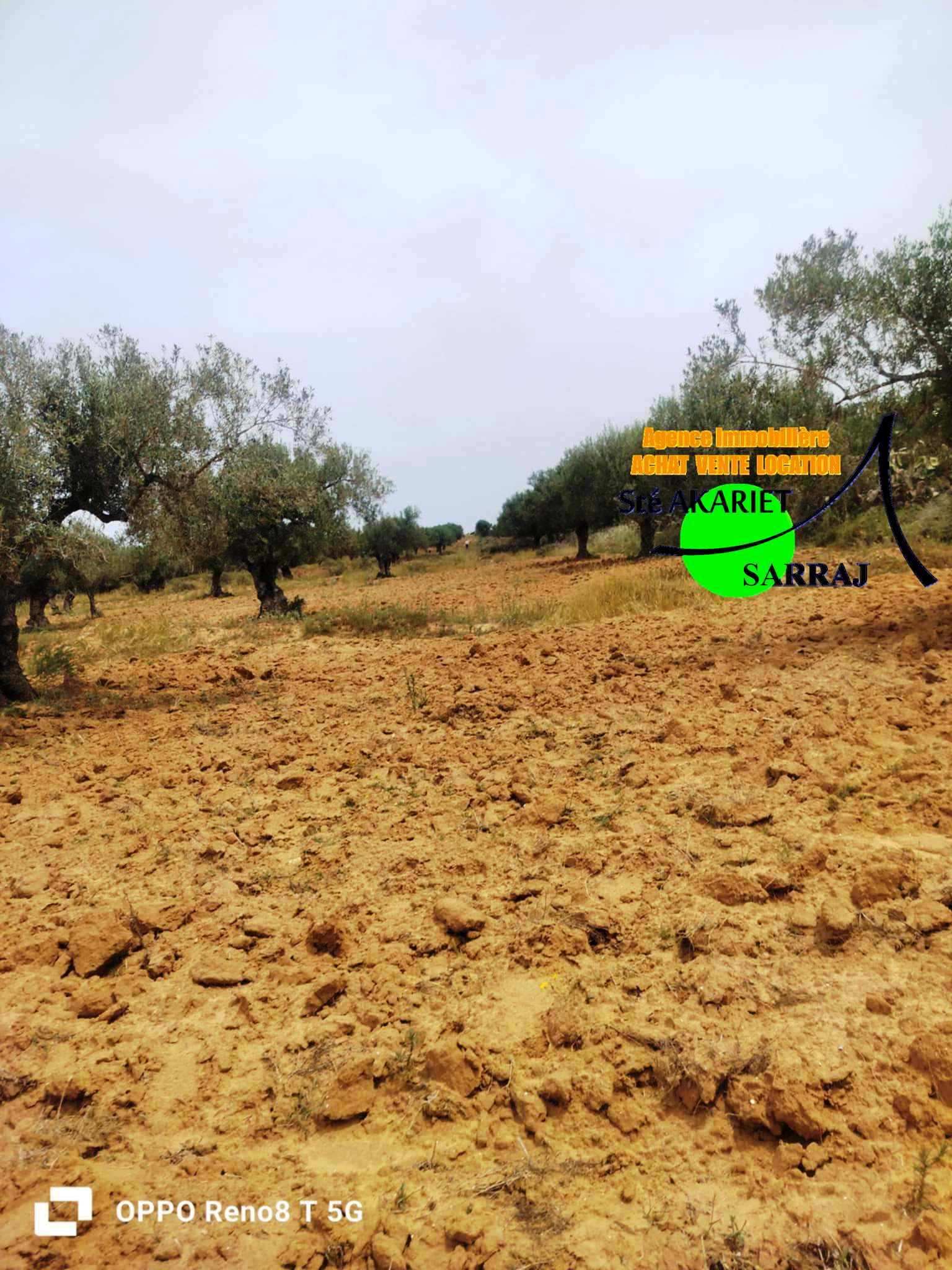 Terrain&nbsp;Terrain agricole