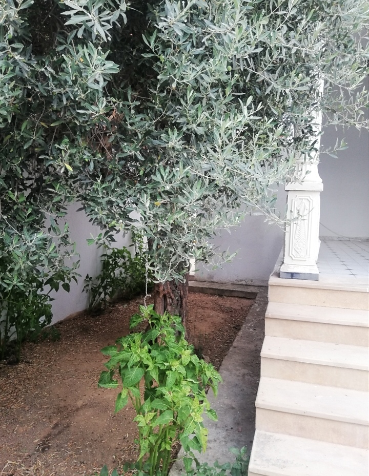 Vente&nbsp;Maisons