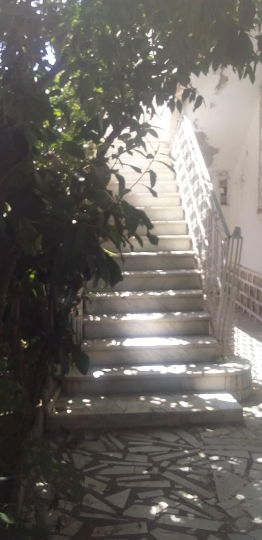Le Bardo&nbsp;Le Bardo&nbsp;Location&nbsp;Appart. 5 pi�ces+&nbsp;Etage de villa