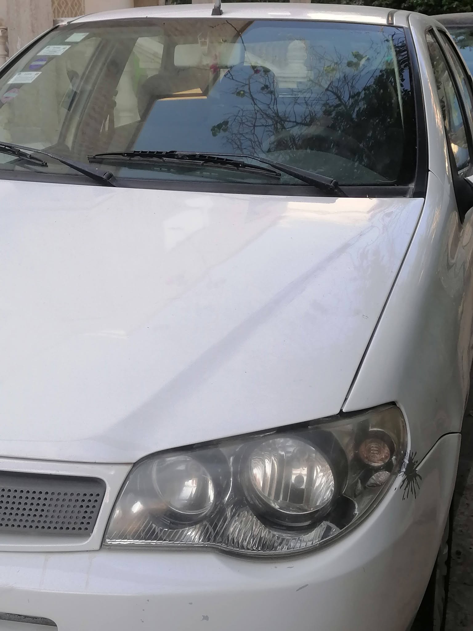Fiat&nbsp;Palio