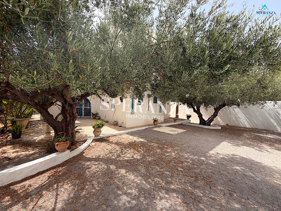 Hammamet&nbsp;Hammamet&nbsp;Location&nbsp;Appart. 4 pi�ces&nbsp;Villa eric