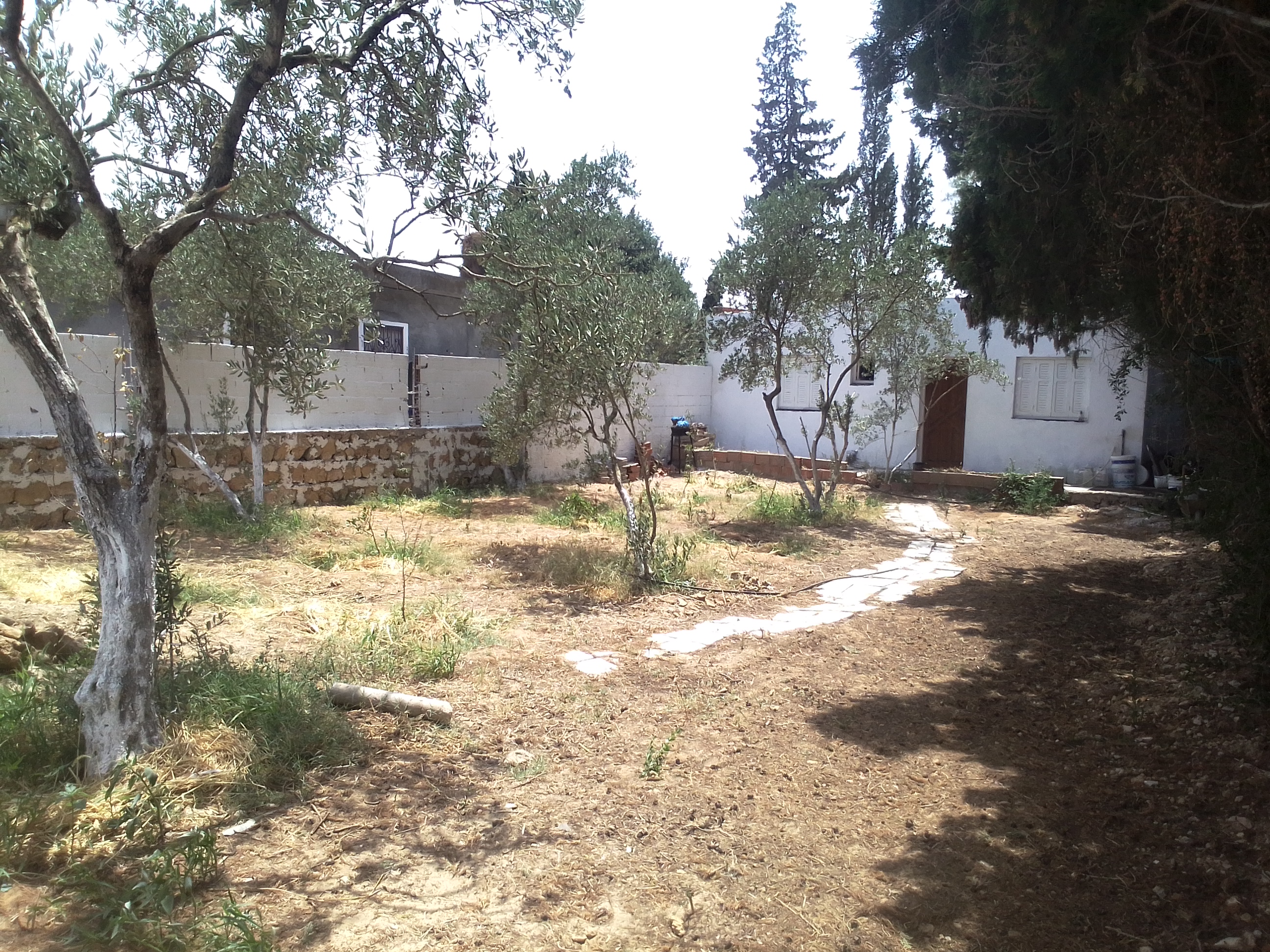 Ras Jebel&nbsp;Cite Kaa El Ballout&nbsp;Vente&nbsp;Maisons&nbsp;Maison s 2  terrain 310 m 2 � 700 de rue