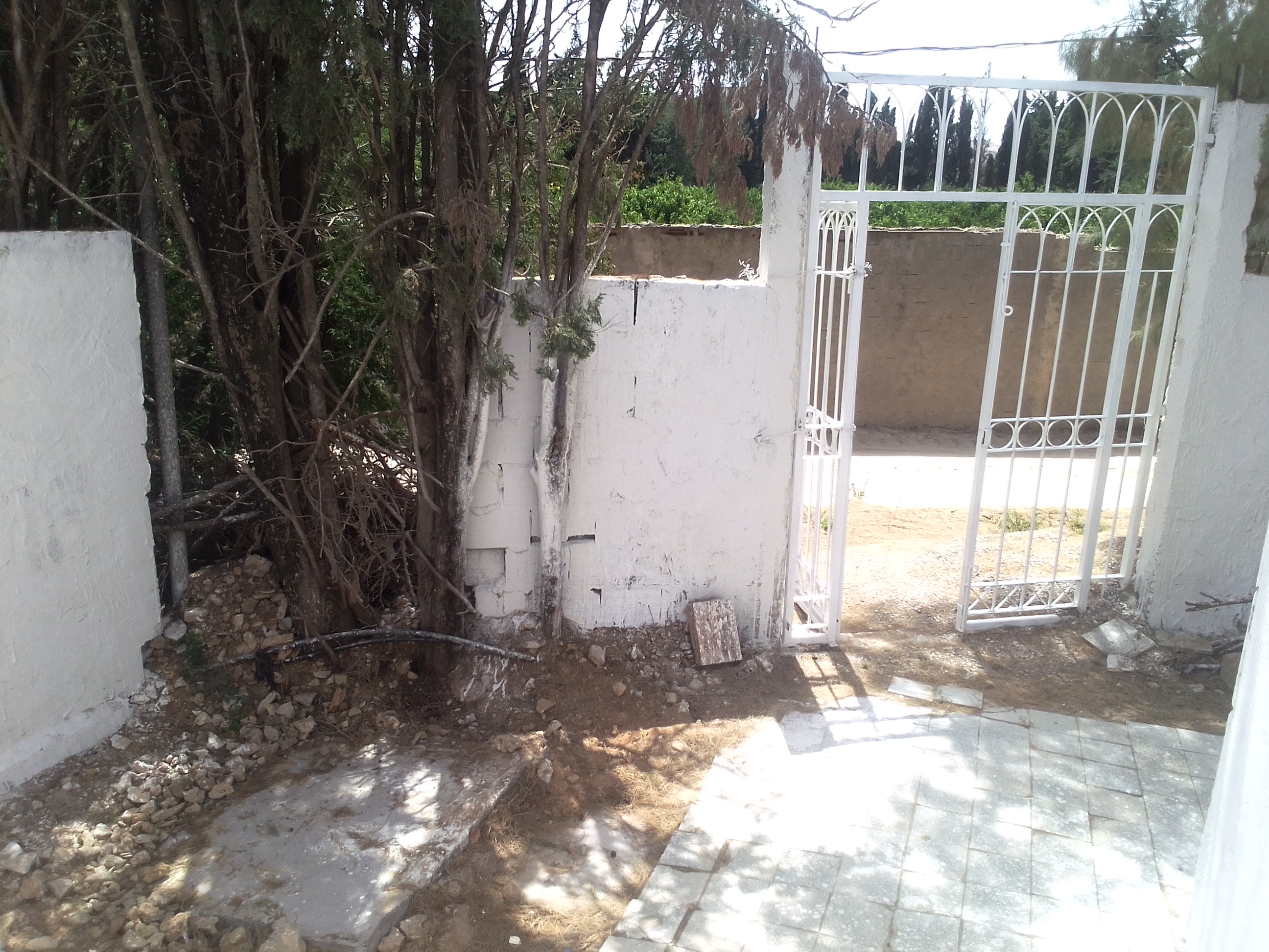 Ras Jebel&nbsp;Cite Kaa El Ballout&nbsp;Vente&nbsp;Maisons&nbsp;Maison s 2  terrain 310 m 2 � 700 de rue