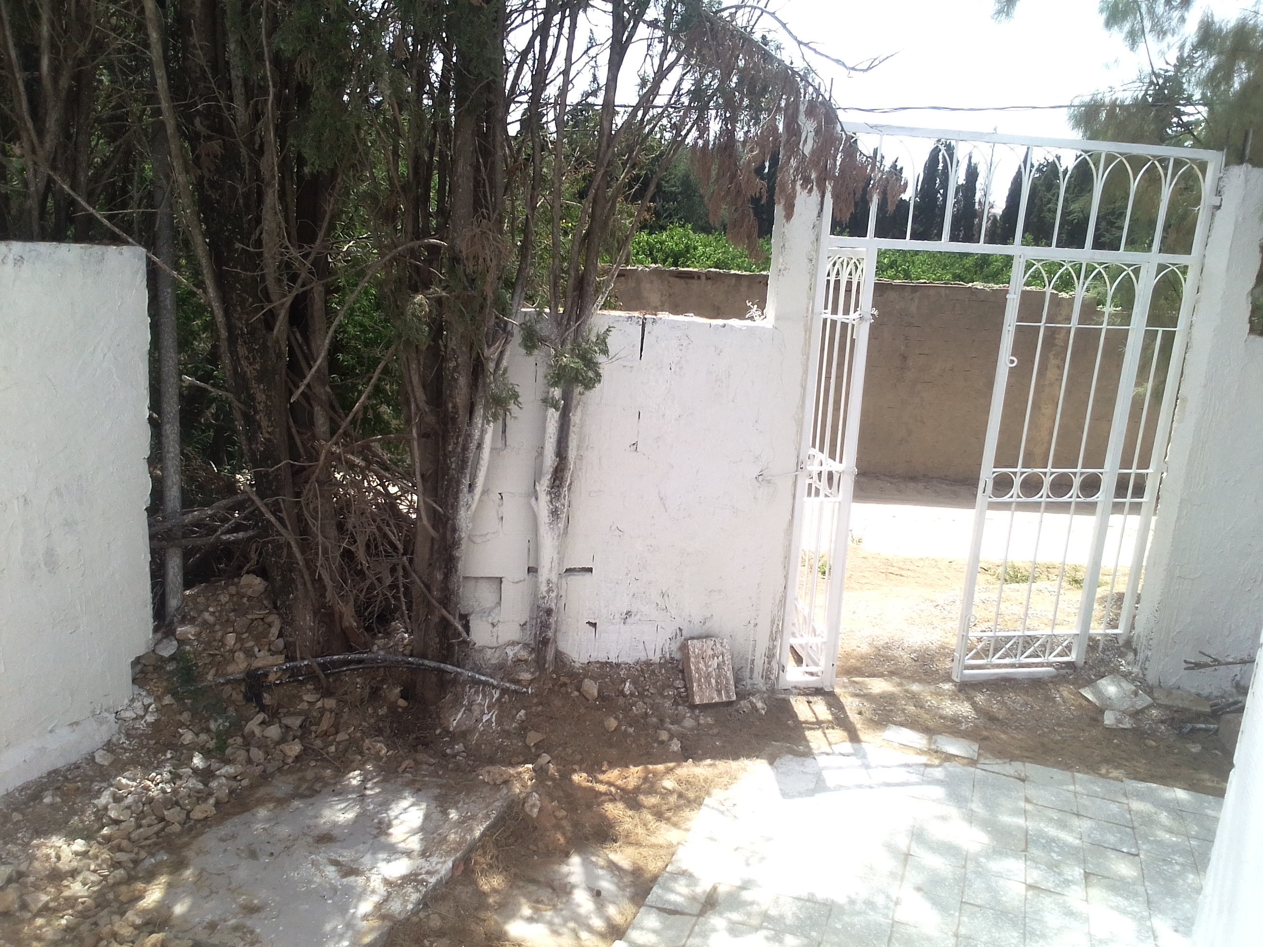Ras Jebel&nbsp;Cite Kaa El Ballout&nbsp;Vente&nbsp;Maisons&nbsp;Maison s 2  terrain route plage mami rasjbal