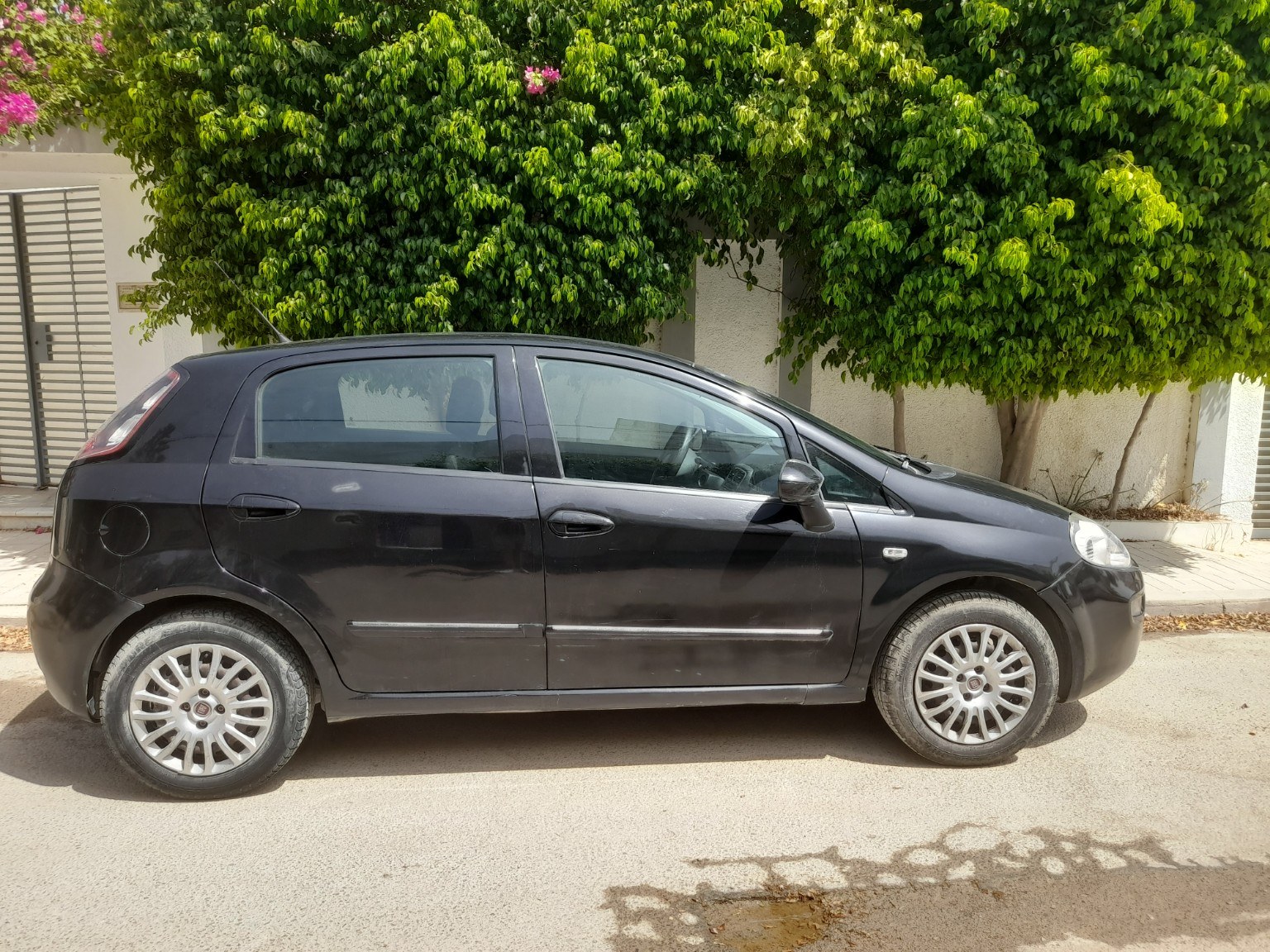 Ariana Ville&nbsp;Ariana&nbsp;Fiat&nbsp;Punto&nbsp;Grandi punto