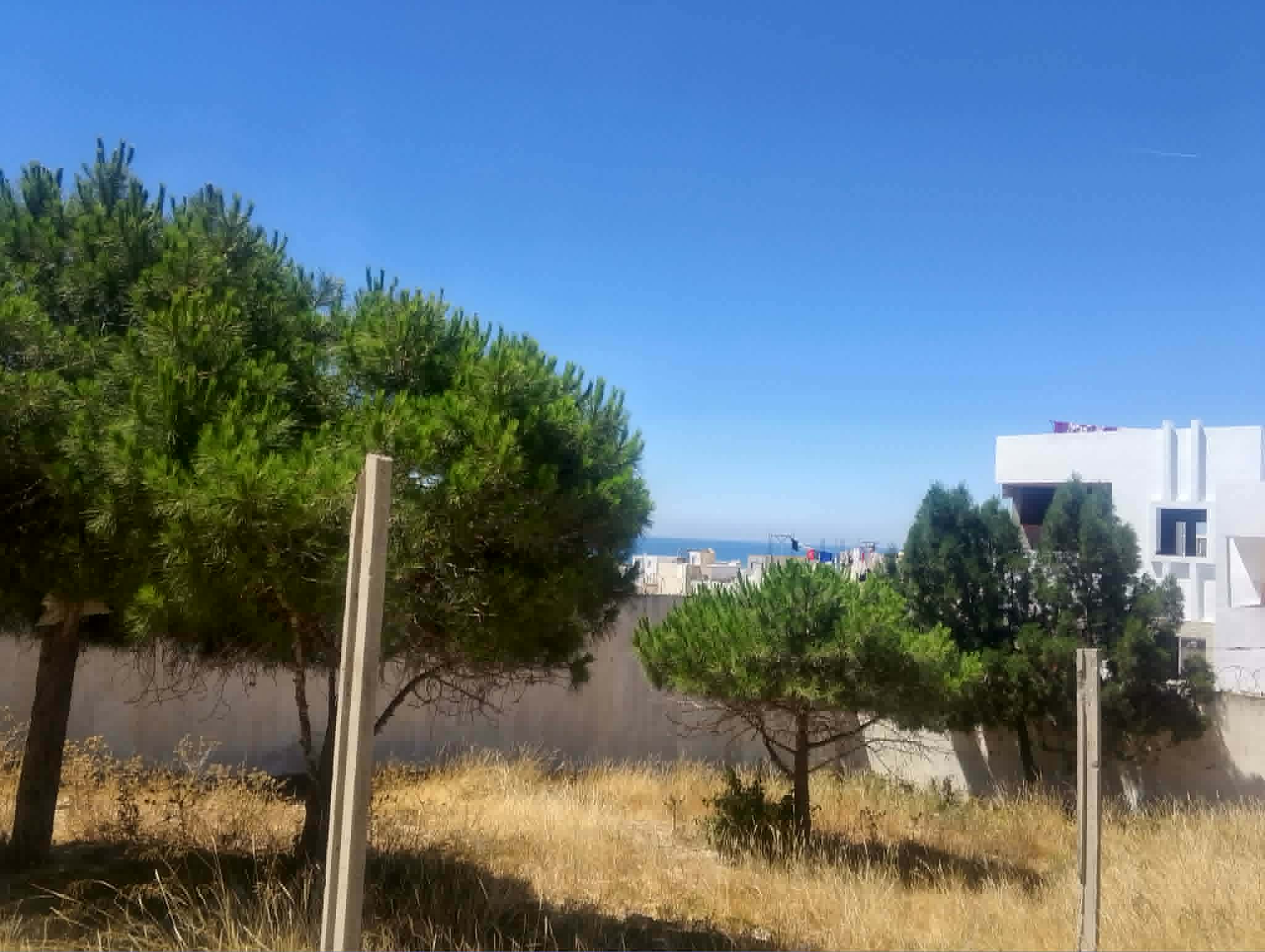 Hammamet&nbsp;Hammamet&nbsp;Terrain&nbsp;Terrain nu&nbsp;Terrain hammamet nord cot� la colline