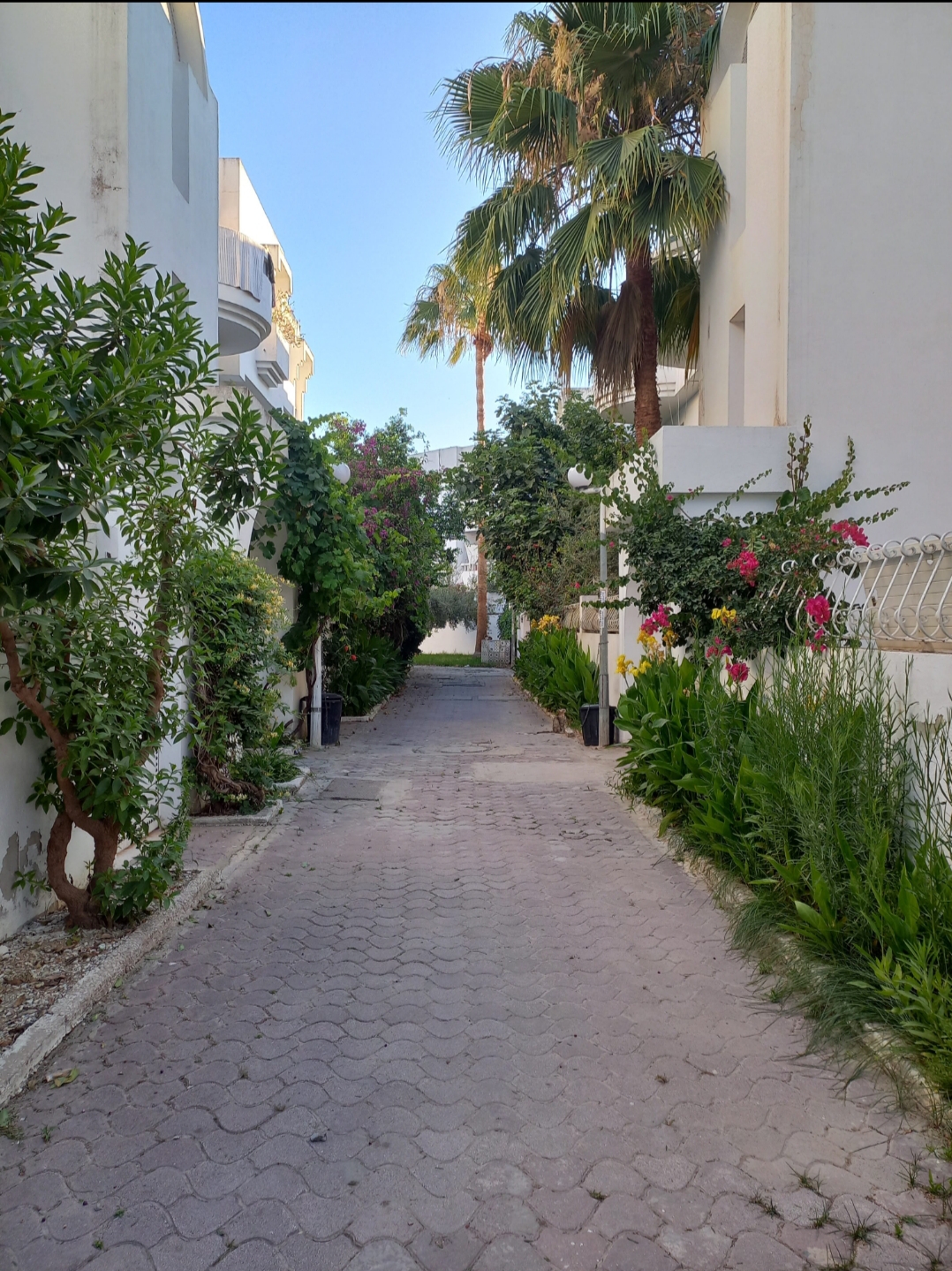 Ain Zaghouan&nbsp;Ain Zaghouan&nbsp;Location&nbsp;Appart. 1 pi�ce&nbsp;Appartement s plus 1 � ain zaghouan