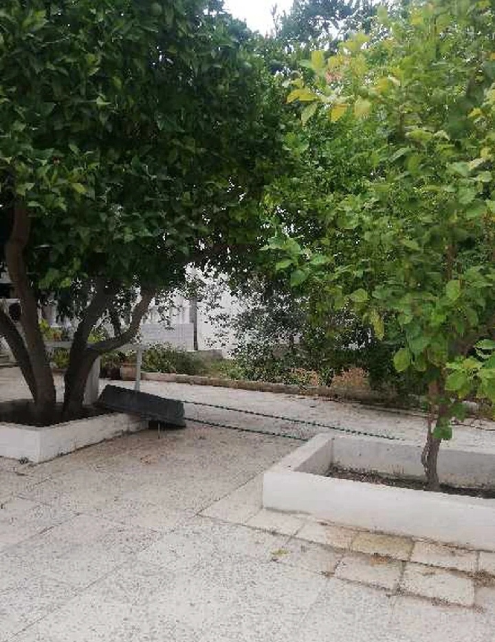 Mnihla&nbsp;Essanhaji&nbsp;Terrain&nbsp;Terrain nu&nbsp;Bonne affaire