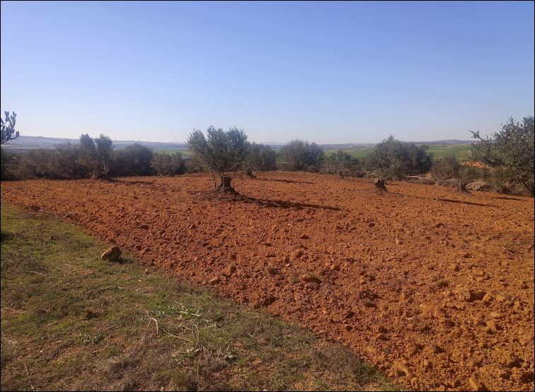 Zaghouan&nbsp;Kantra El Kahla&nbsp;Terrain&nbsp;Terrain agricole&nbsp;Terrain agricole zaghouan