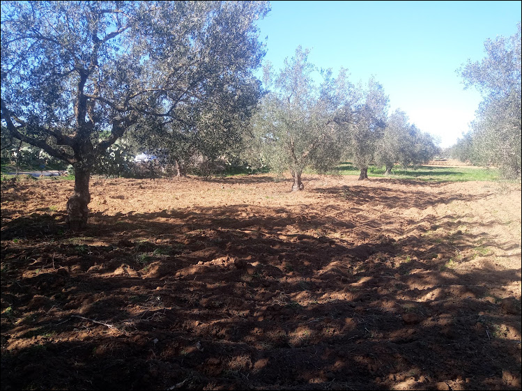 Terrain&nbsp;Terrain agricole