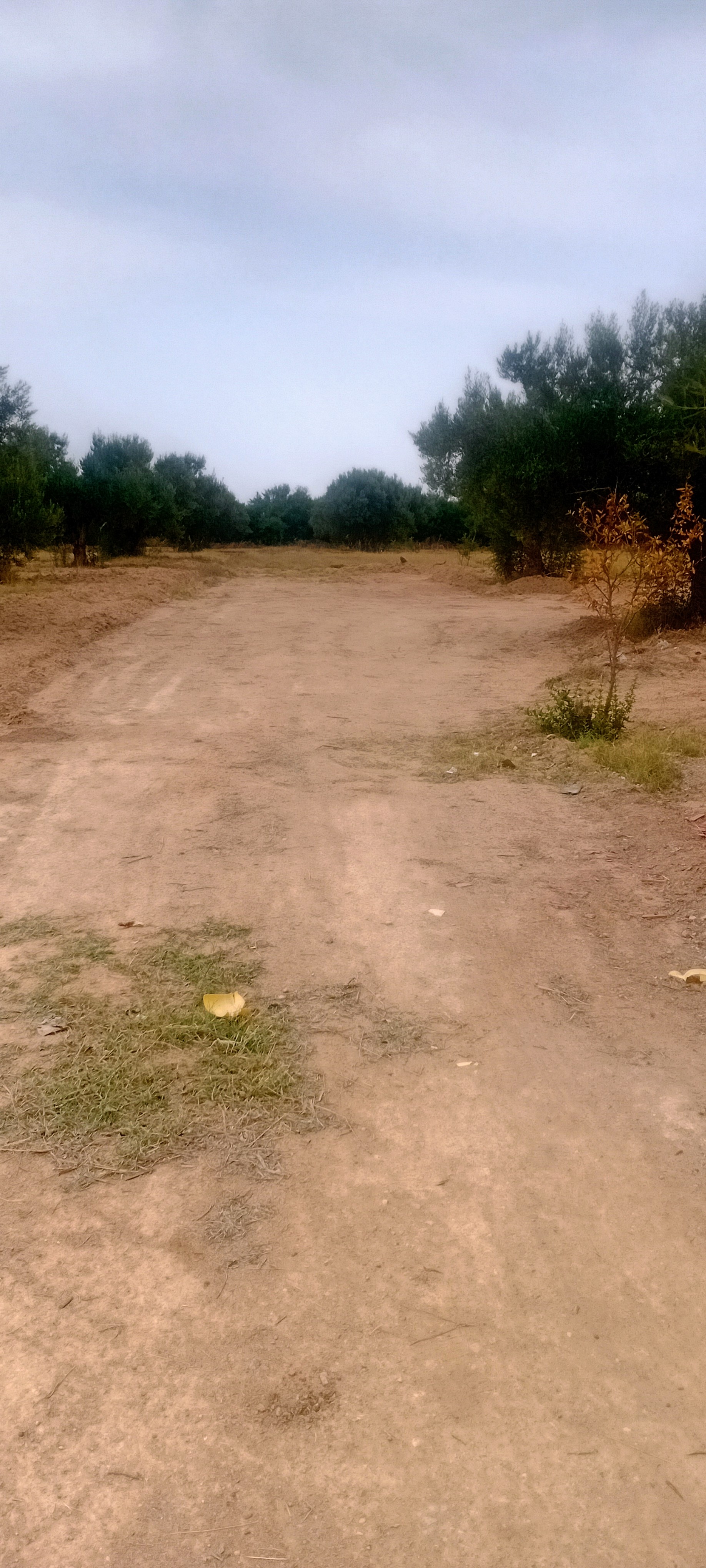 Terrain&nbsp;Terrain nu
