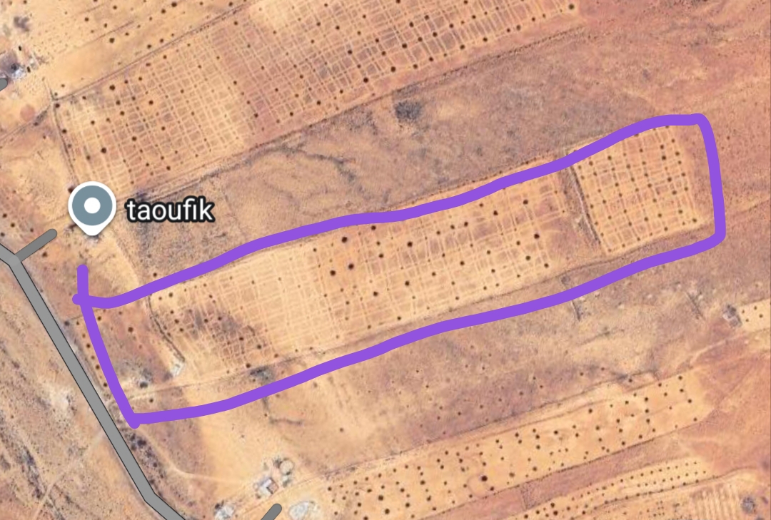 Terrain&nbsp;Terrain nu