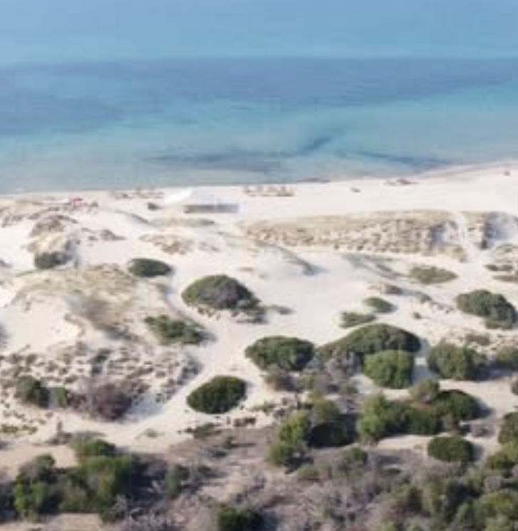 Terrain&nbsp;Terrain nu