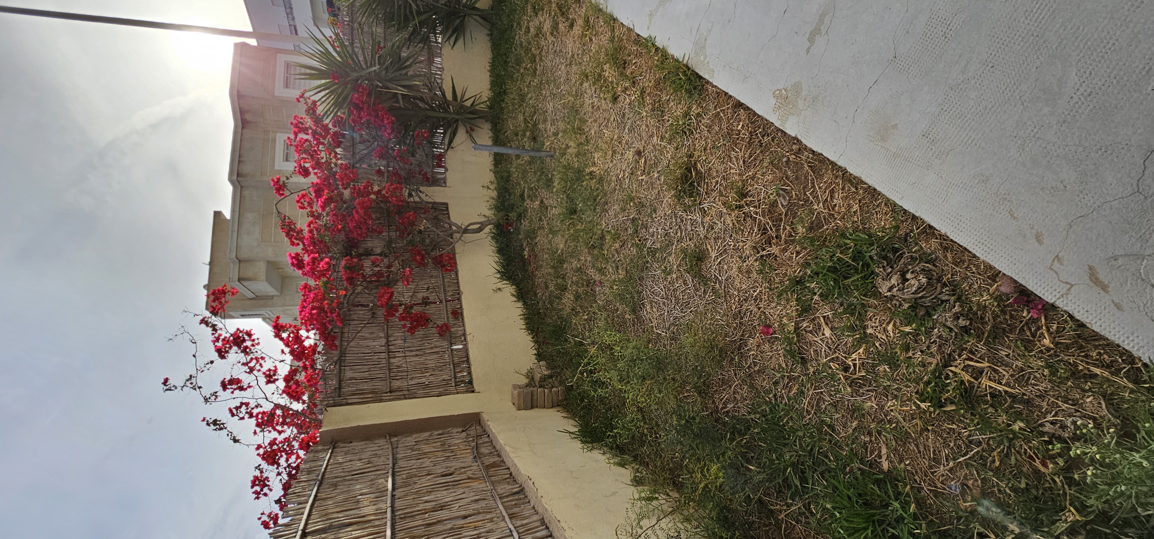 Location&nbsp;Appart. 4 pi�ces