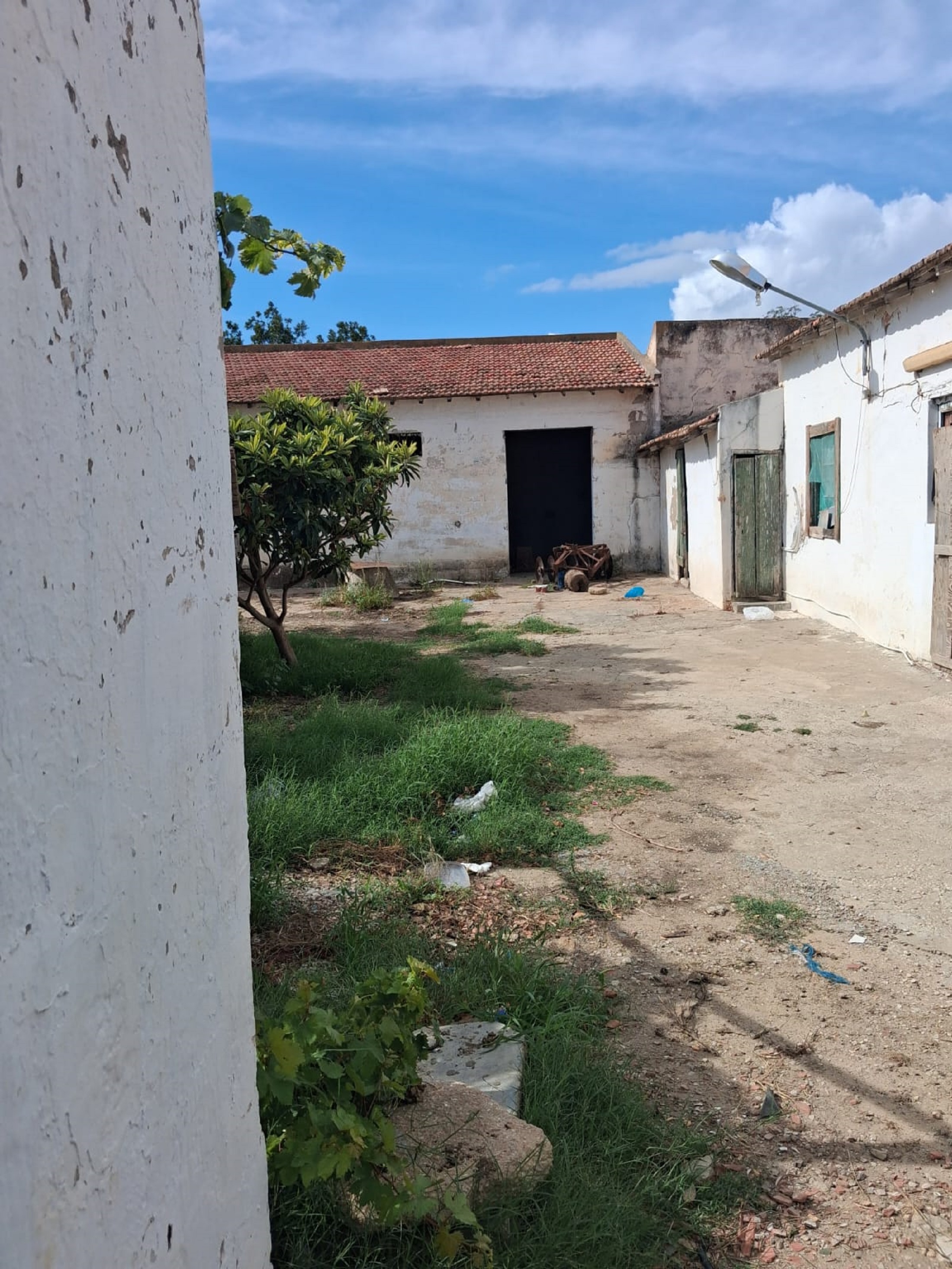 Grombalia&nbsp;Sammach&nbsp;Terrain&nbsp;Terrain agricole&nbsp;Gps sania agrume oliviers batiment plus maison