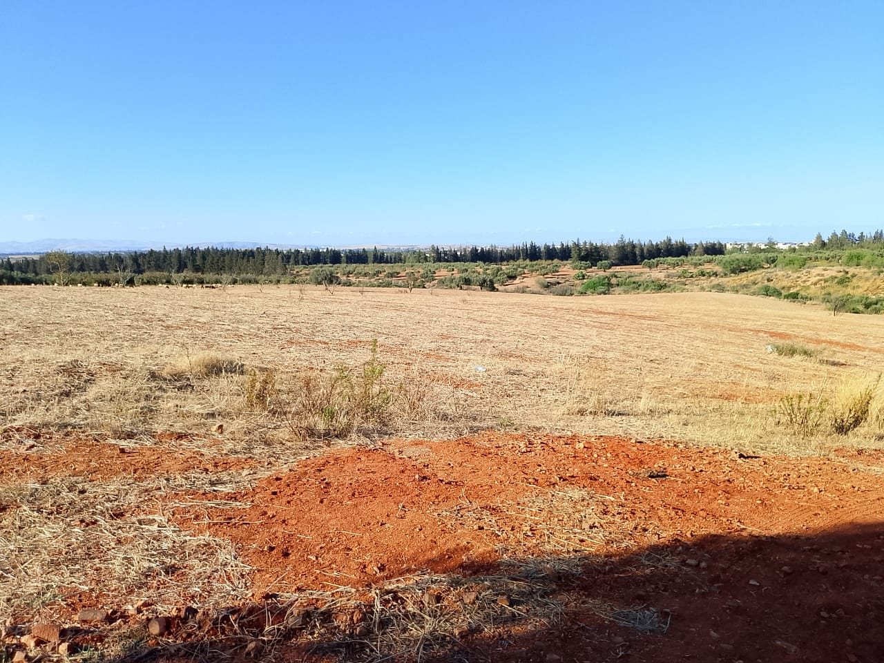 Sidi Thabet&nbsp;Sidi Thabet&nbsp;Terrain&nbsp;Terrain nu&nbsp;Terrain de 1 hectare � sidi thabet jabbes