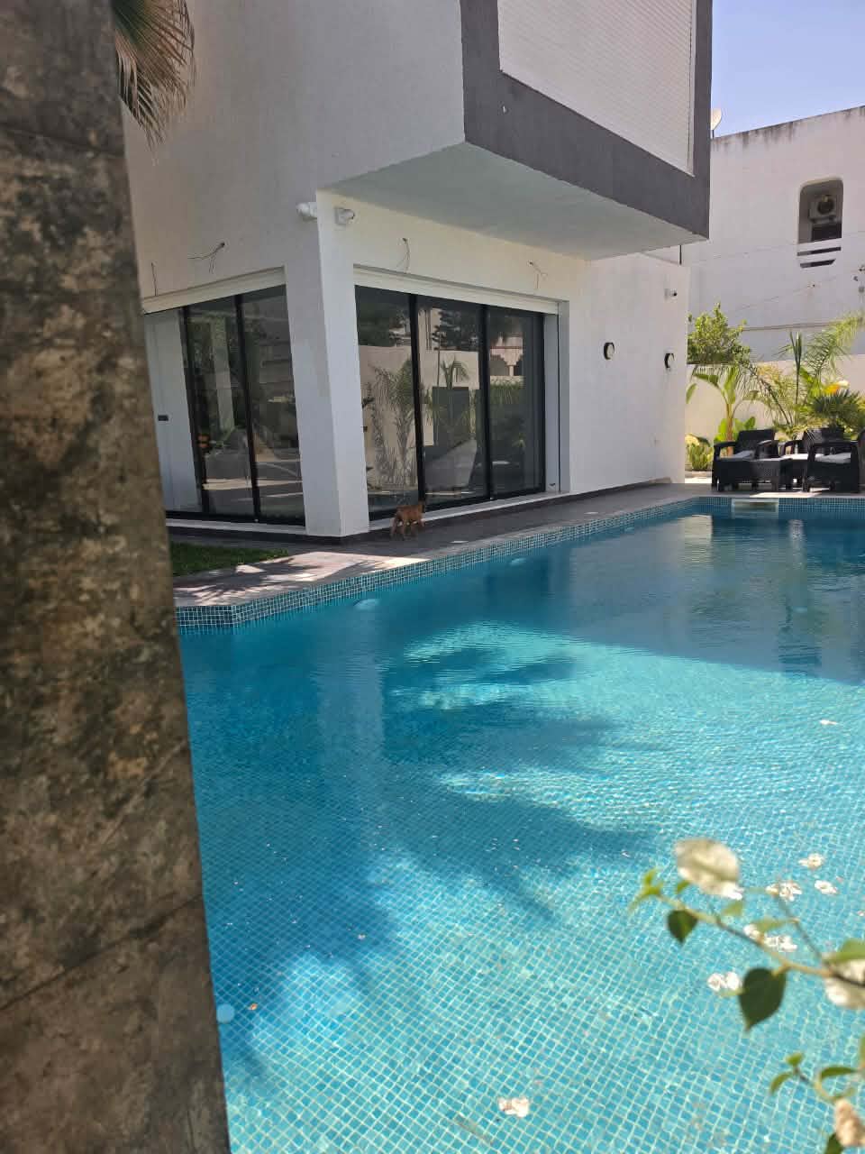 Ariana Ville&nbsp;El Menzah 8&nbsp;Vente&nbsp;Maisons&nbsp;Villa tres haut standing a menzah 8 avec piscine