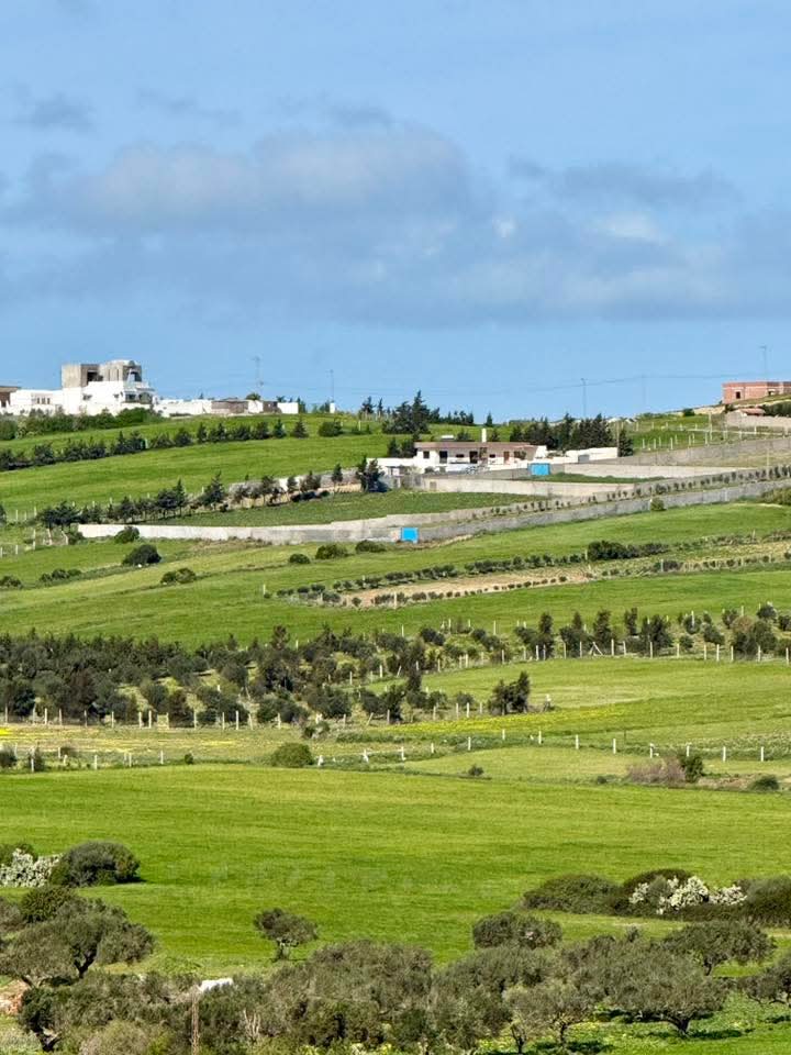 Hammam El Ghezaz&nbsp;Tamazrat&nbsp;Terrain&nbsp;Terrain agricole&nbsp;Senia a tamezrat hammem el ghzez