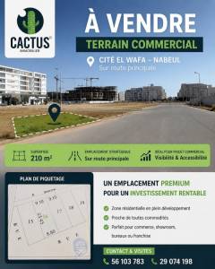 Vente&nbsp;Surfaces