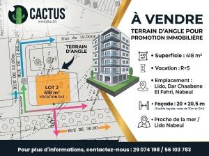 Vente&nbsp;Surfaces