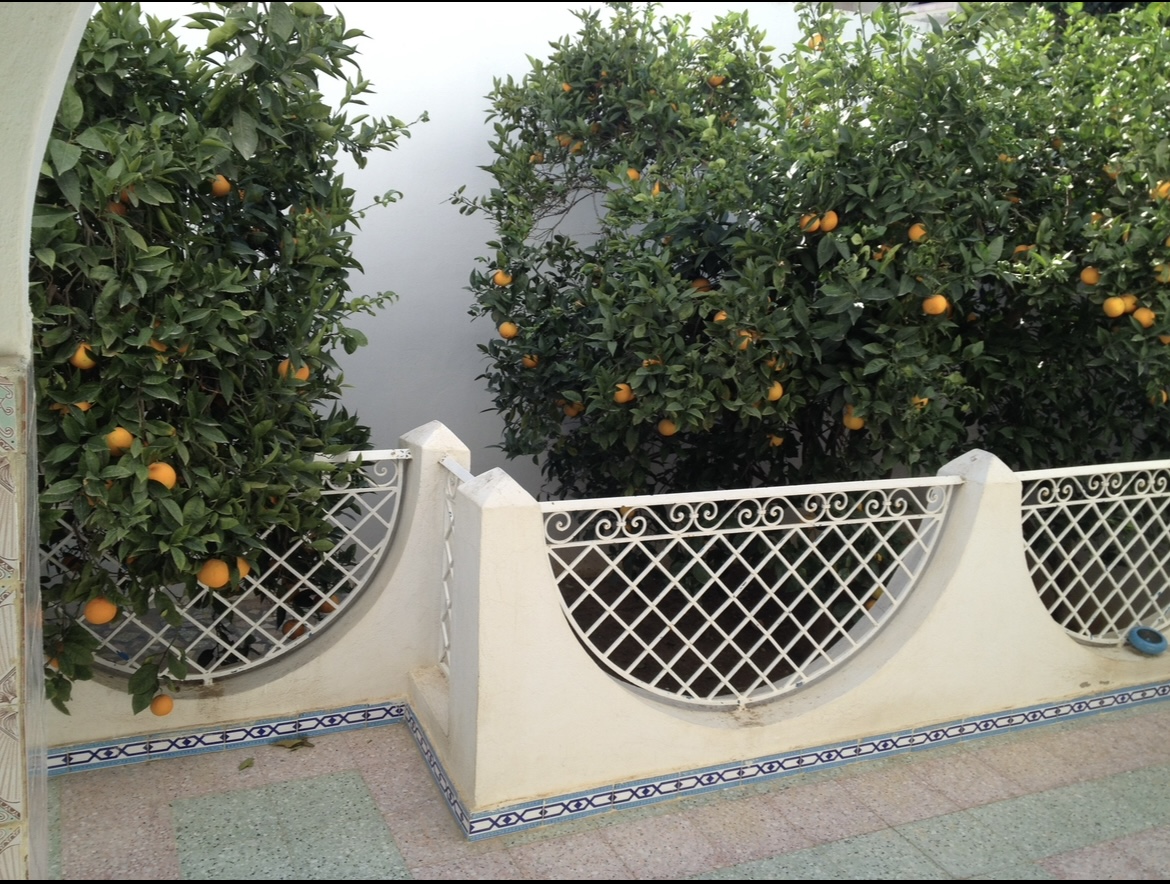 Hammamet&nbsp;Hammamet&nbsp;Vente&nbsp;Maisons&nbsp;Villa et studios