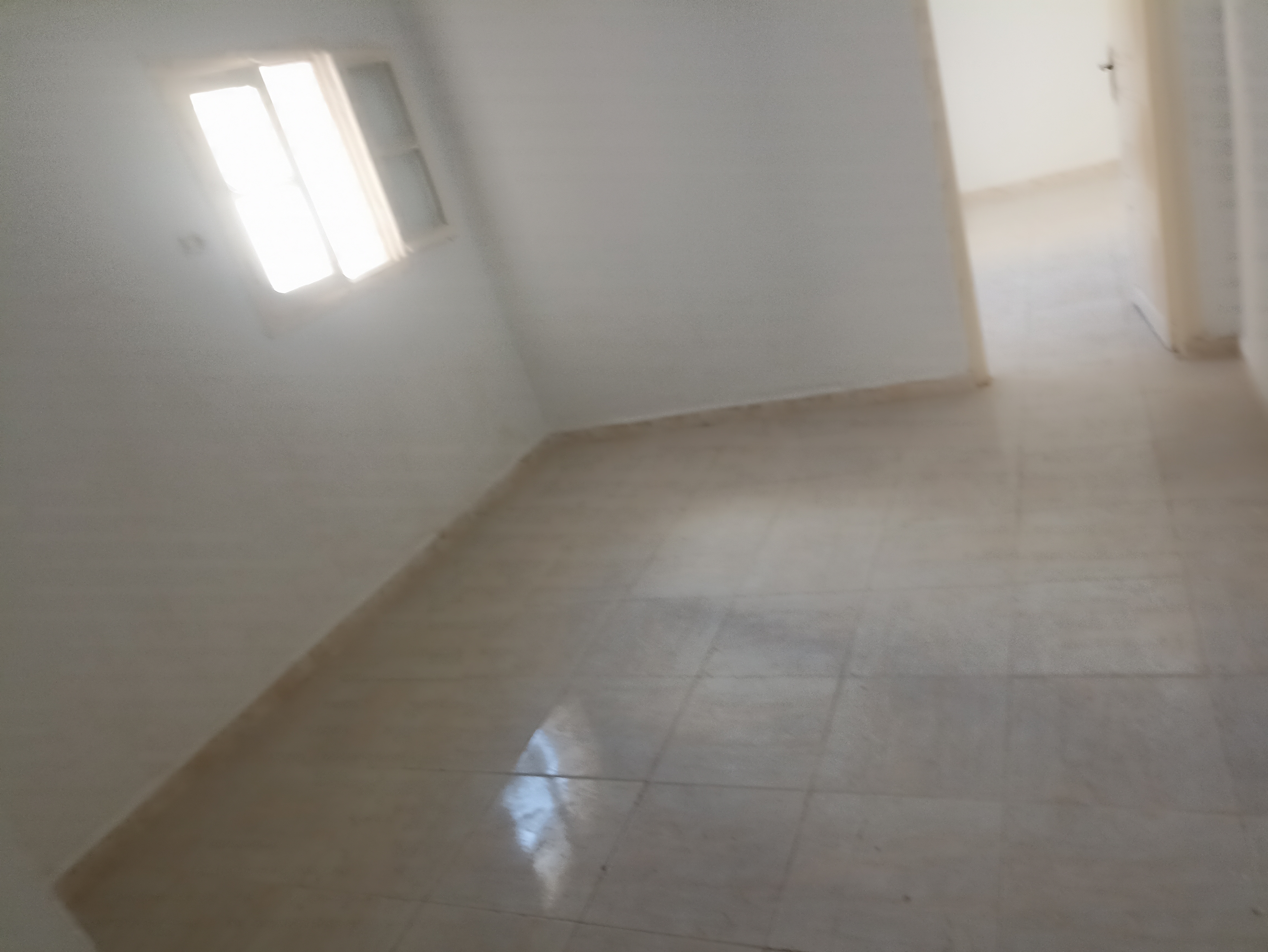 Location&nbsp;Appart. 1 pi�ce