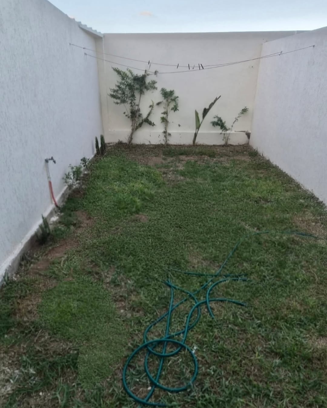 Location&nbsp;Appart. 1 pi�ce