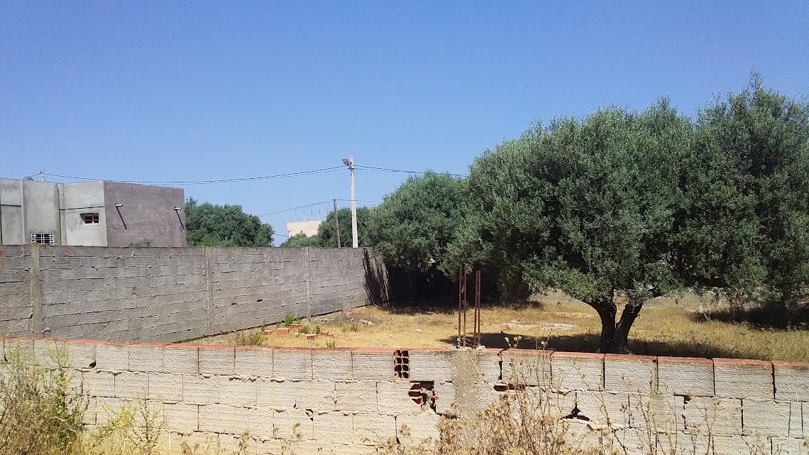 Raoued&nbsp;Borj Touil&nbsp;Terrain&nbsp;Terrain nu&nbsp;Terrain � borj etouil