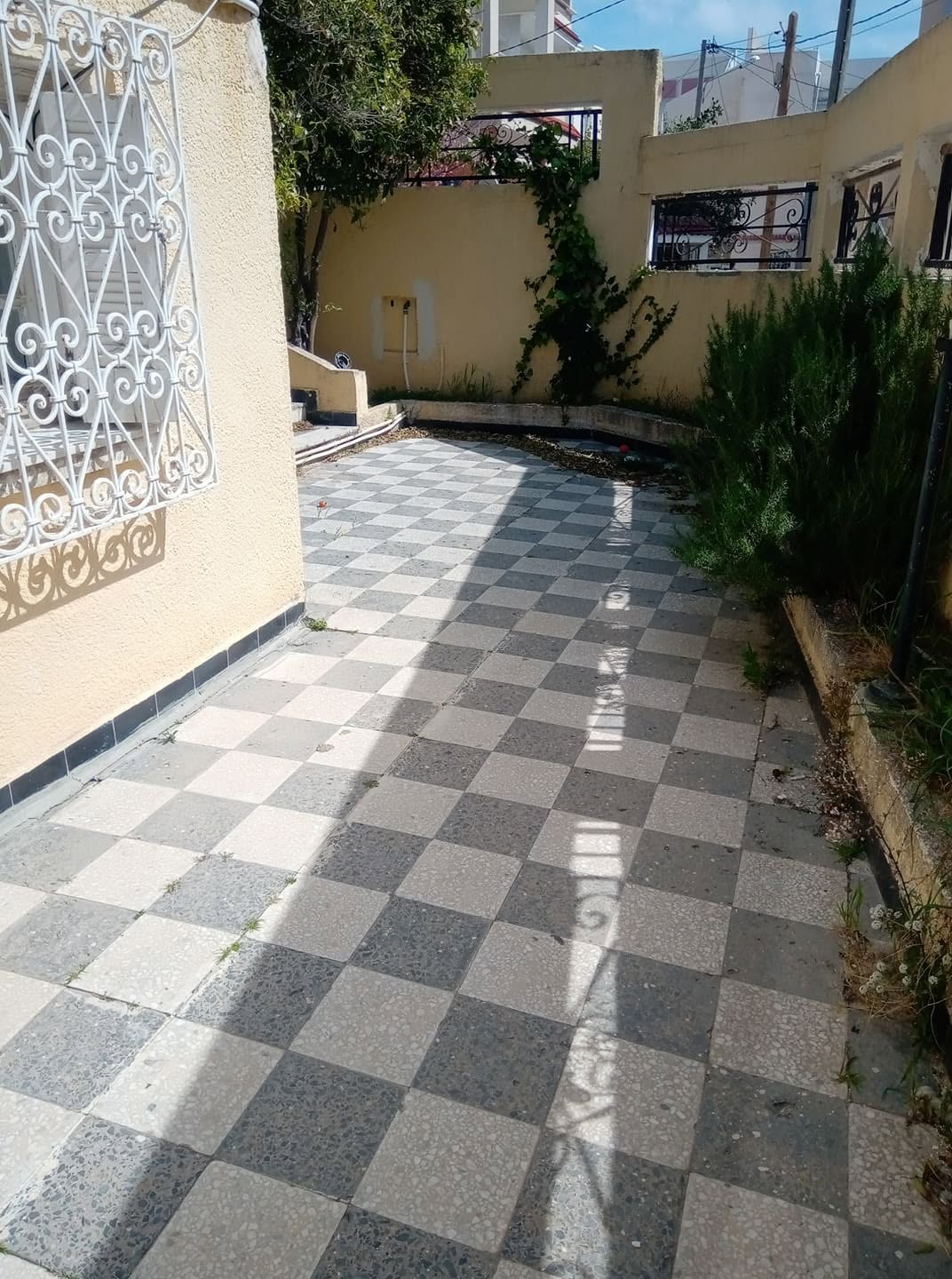 Bizerte Nord&nbsp;Bizerte&nbsp;Location&nbsp;Appart. 2 pi�ces&nbsp;Un studio au rdc � ain mariem bizerte