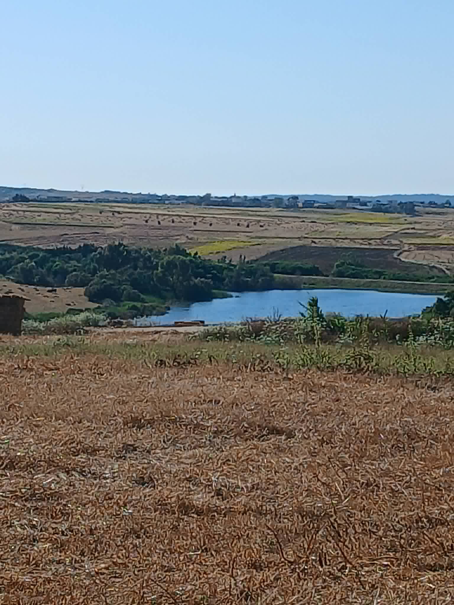 Kelibia&nbsp;Azmour&nbsp;Terrain&nbsp;Terrain agricole&nbsp;Offre  a ne pas ratter