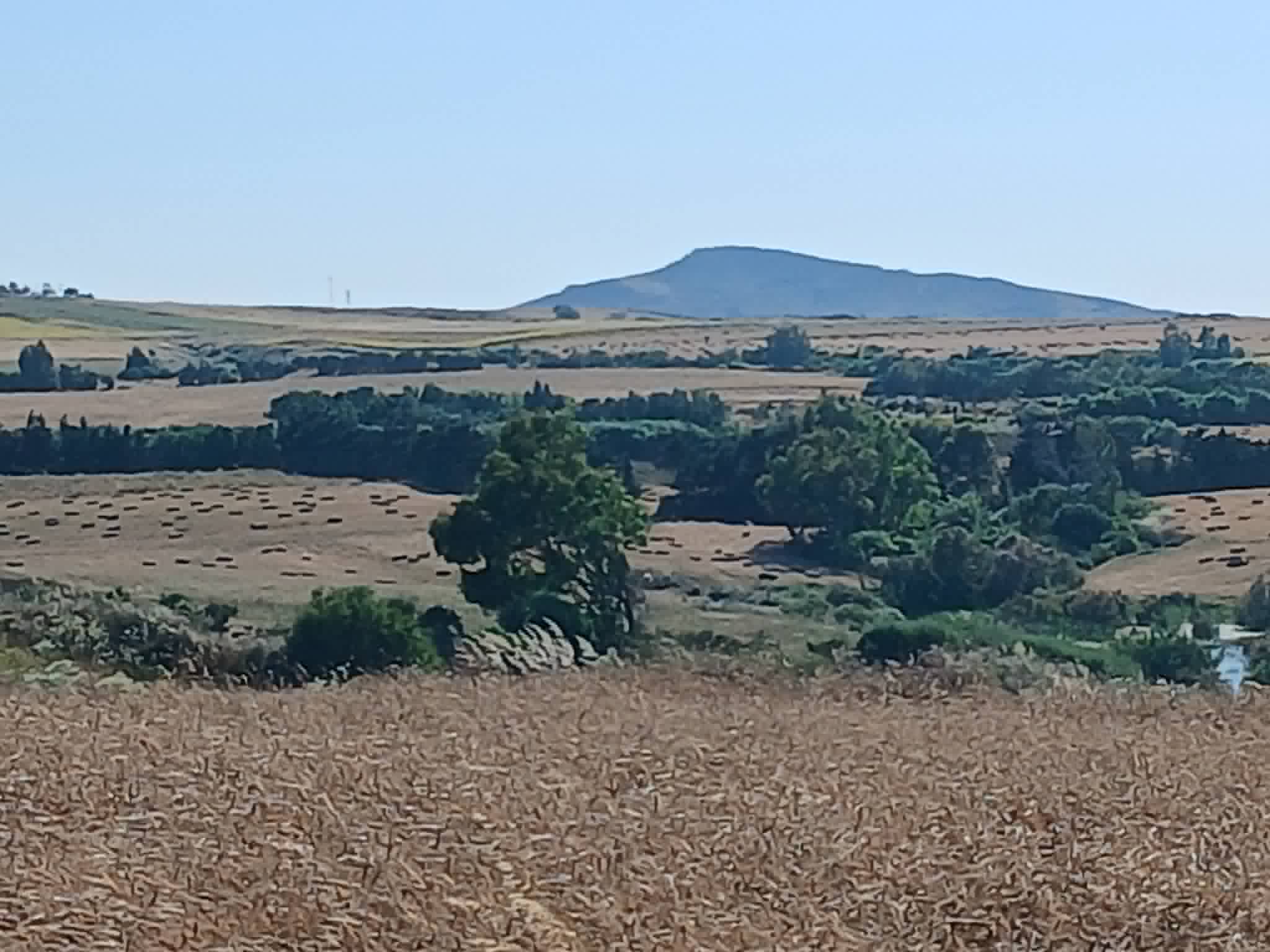 Terrain&nbsp;Terrain agricole