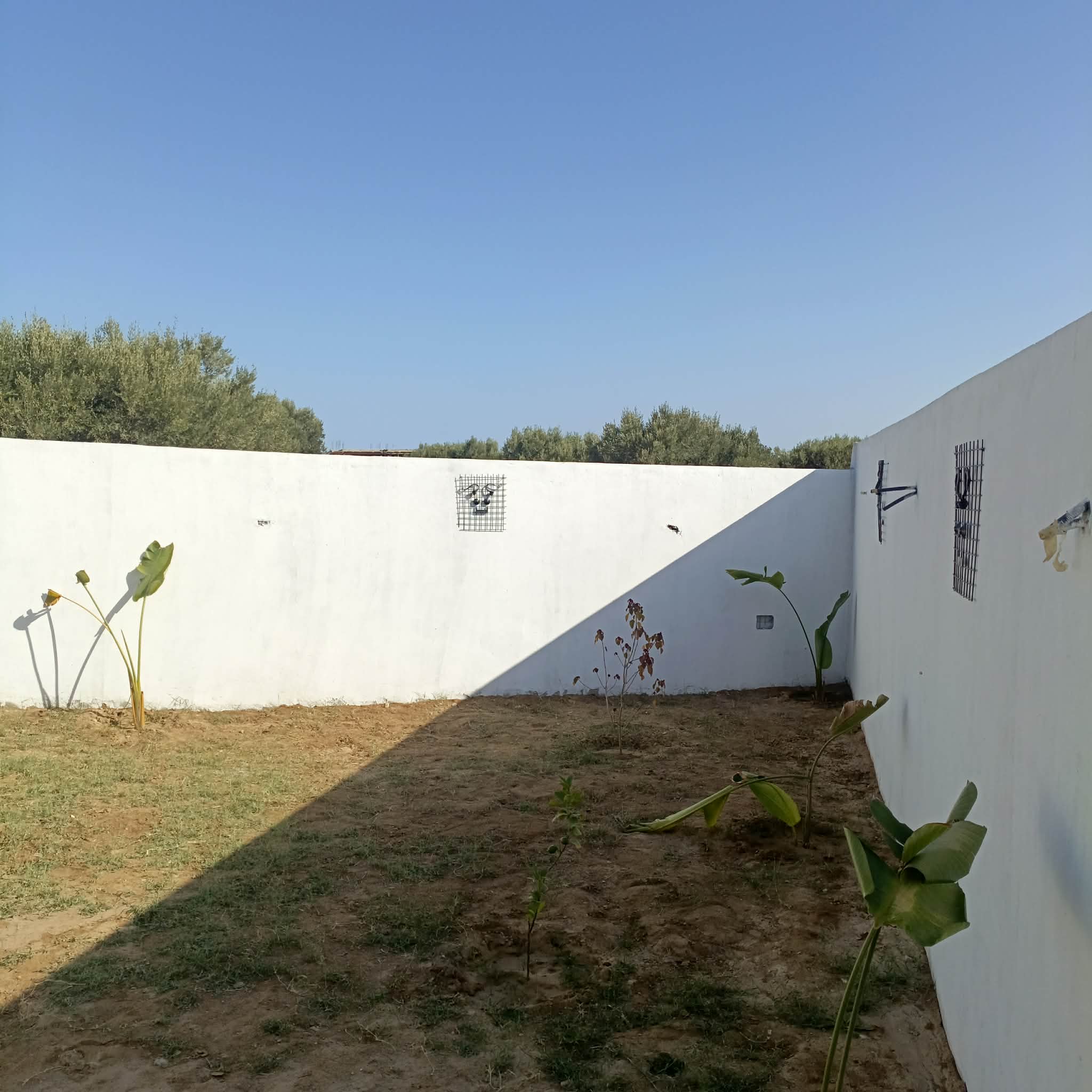 Hammamet&nbsp;Hammamet&nbsp;Vente&nbsp;Maisons&nbsp;Av belle villa de 300m proche hammamet sud