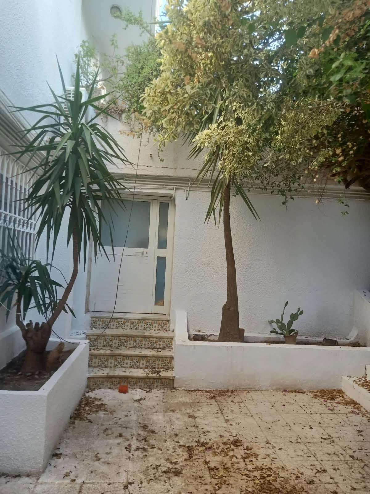 El Menzah&nbsp;El Manar 1&nbsp;Location&nbsp;Appart. 1 pi�ce&nbsp;Joli s1  avec un entr�e ind�pendante