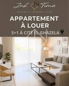 Location&nbsp;Appart. 1 pi�ce