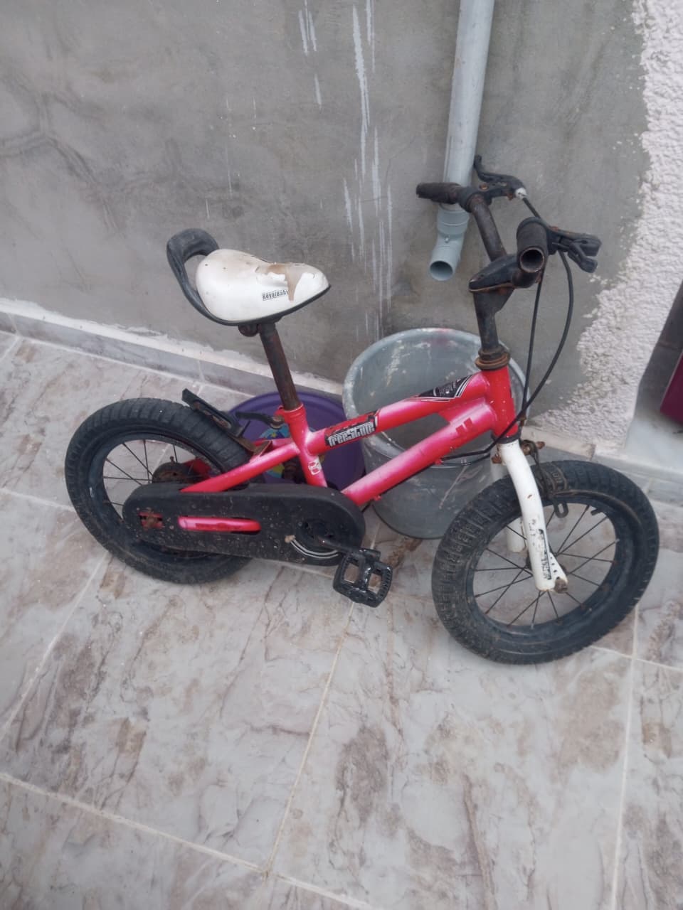 Le Bardo&nbsp;Le Bardo&nbsp;Autre&nbsp;Autre&nbsp;Bicyclette enfant au bardo