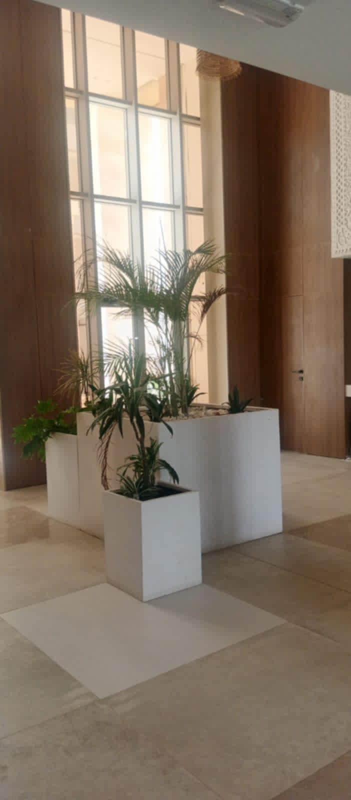 Ain Zaghouan&nbsp;Ain Zaghouan&nbsp;Location&nbsp;Appart. 2 pi�ces&nbsp;Apprt s1 au rdc � ain zaghouan