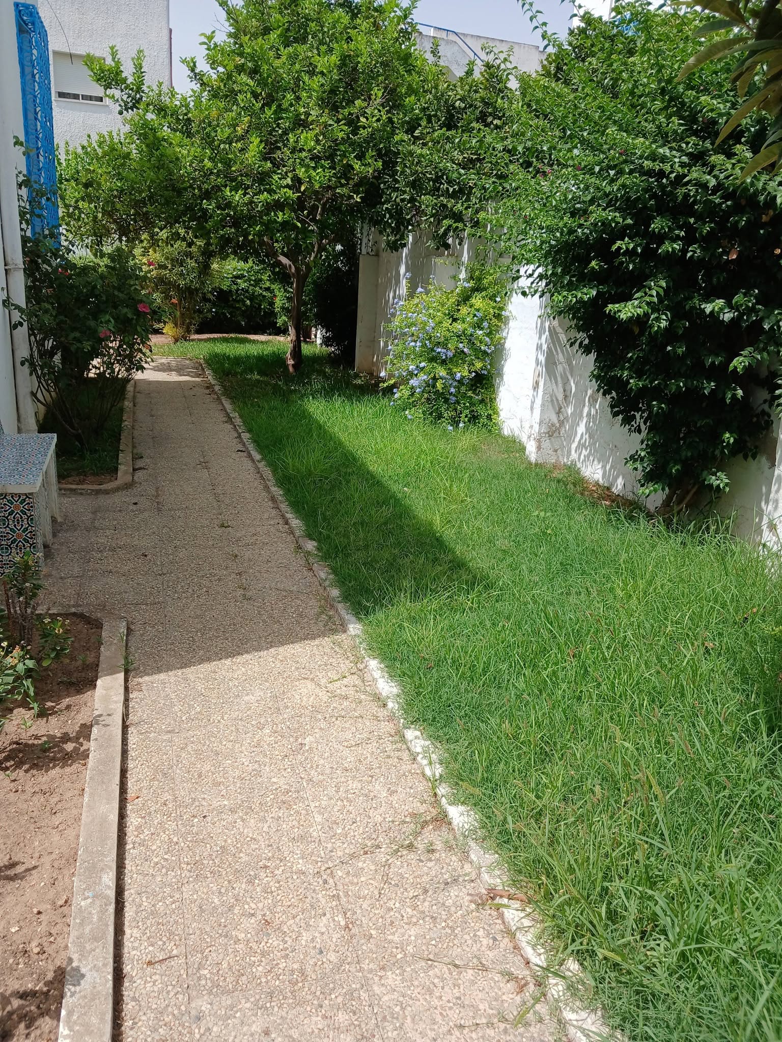 La Marsa&nbsp;Marsa Safsaf&nbsp;Location&nbsp;Maisons&nbsp;Maison � marsa cube meubl�e