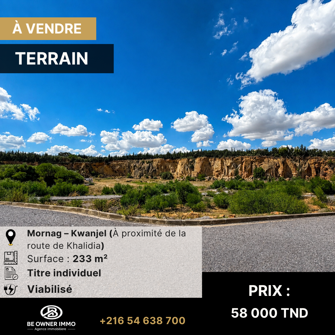 Mornag&nbsp;Kouenjel&nbsp;Terrain&nbsp;Terrain nu&nbsp;Av terrain de 233 m2 a mornag