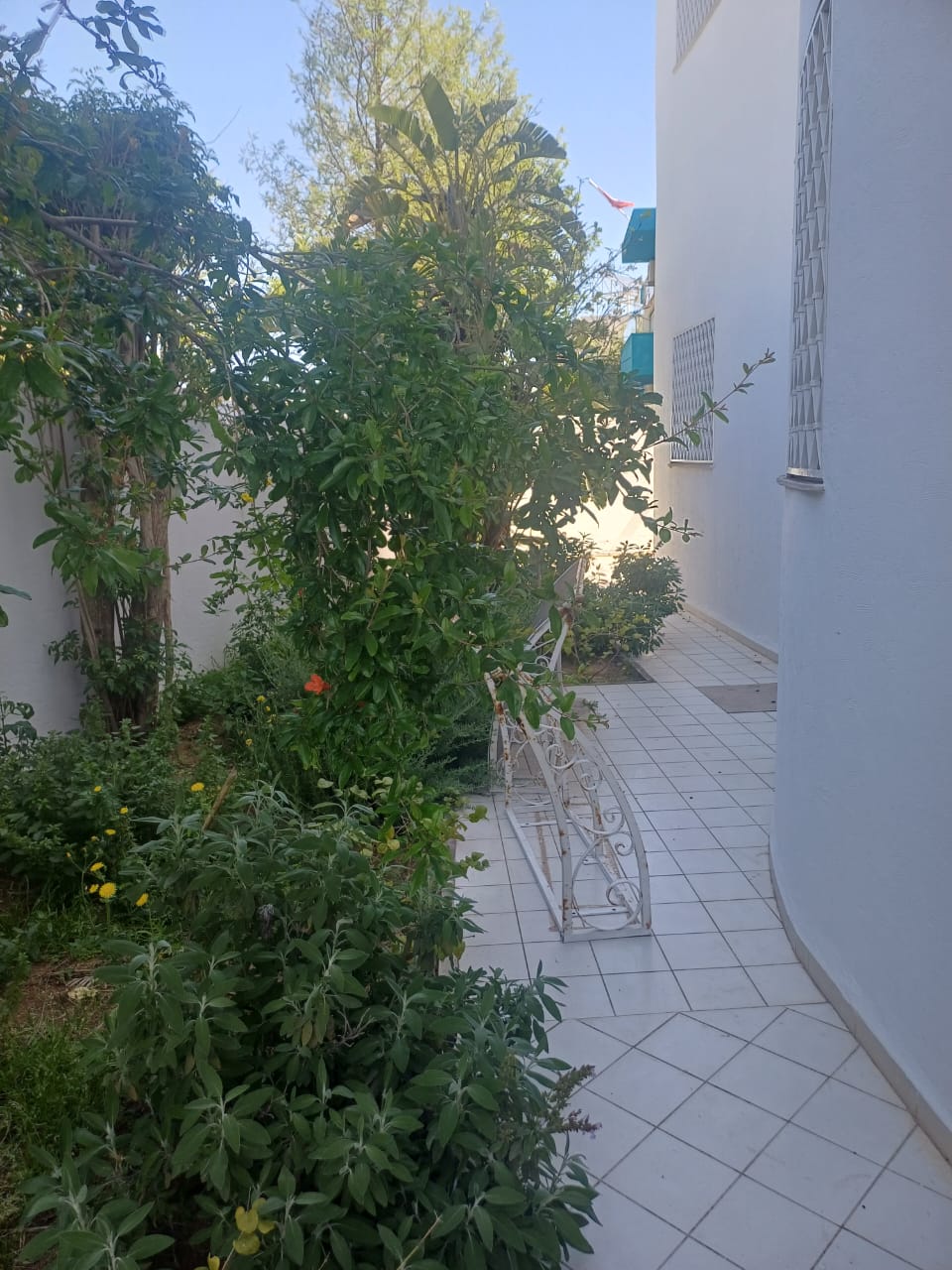 Ain Zaghouan&nbsp;Jardins de Carthage&nbsp;Location&nbsp;Maisons&nbsp;Maison et son �tage avec entr�es ind�pendantes