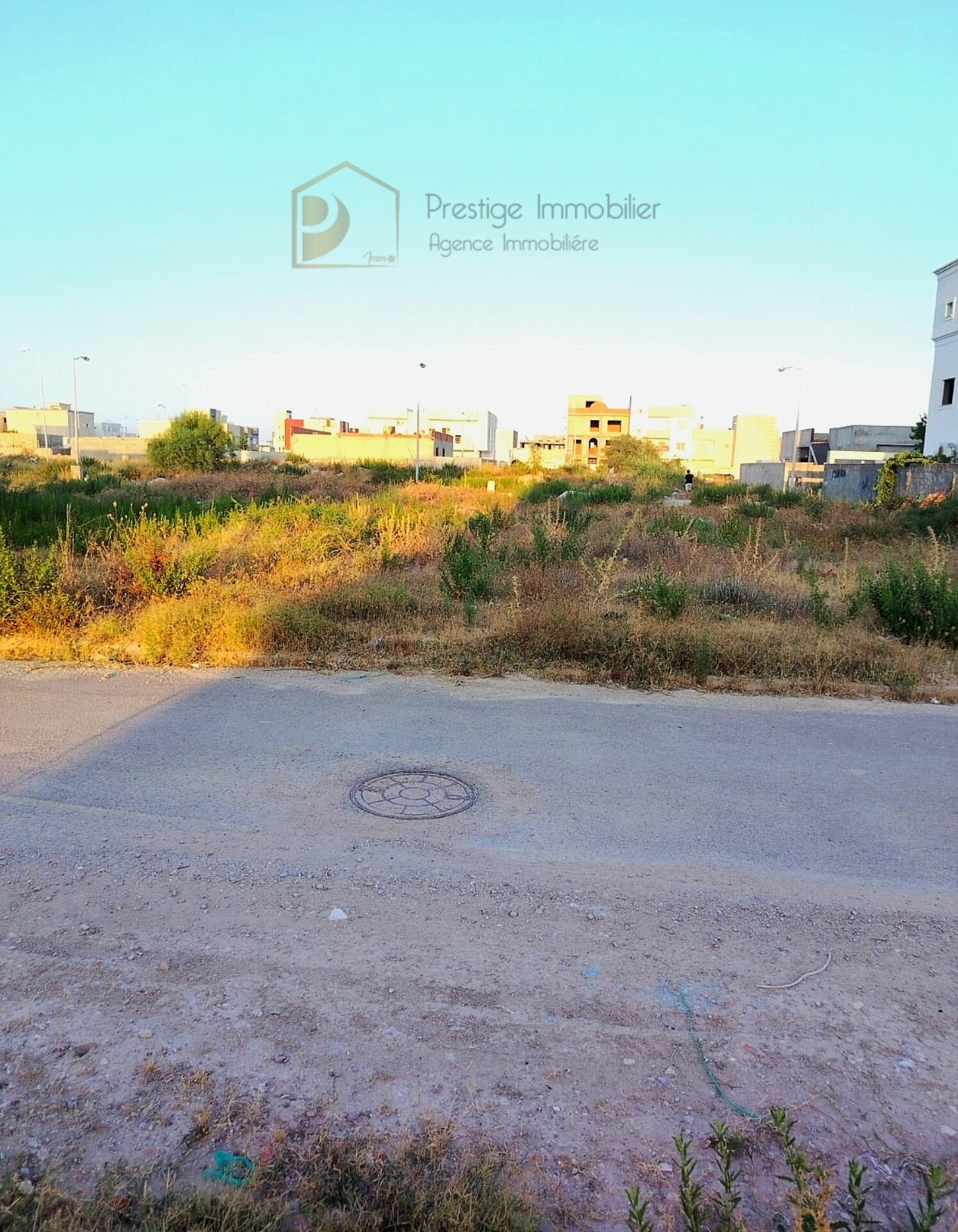 Vente&nbsp;Surfaces