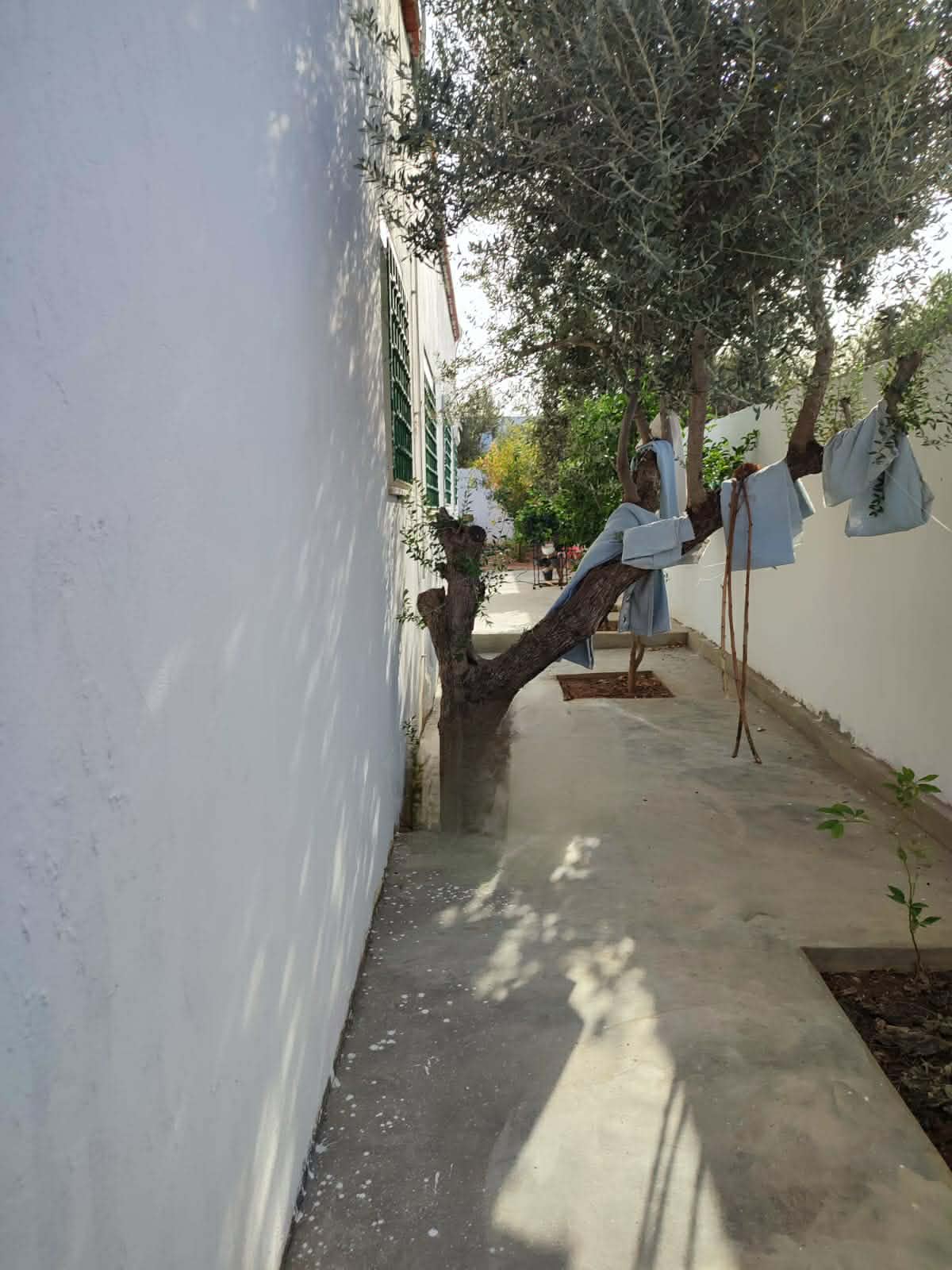 Sidi Thabet&nbsp;Cebalet Ben Ammar&nbsp;Vente&nbsp;Maisons&nbsp;Maisons cebalet ben ammar