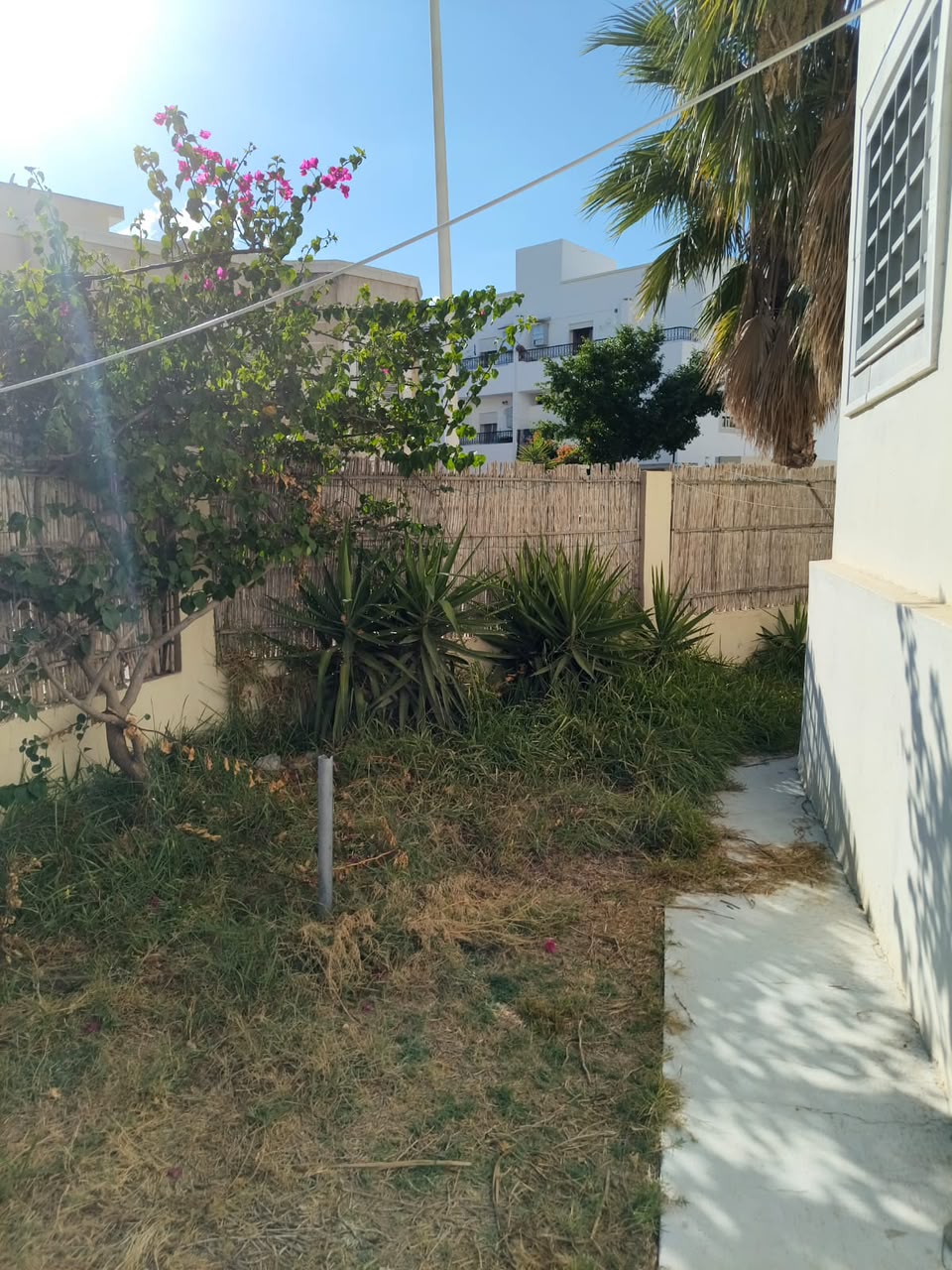 Carthage&nbsp;Carthage&nbsp;Location&nbsp;Appart. 4 pi�ces&nbsp;S3 rdc avec jardin  jardins de carthage