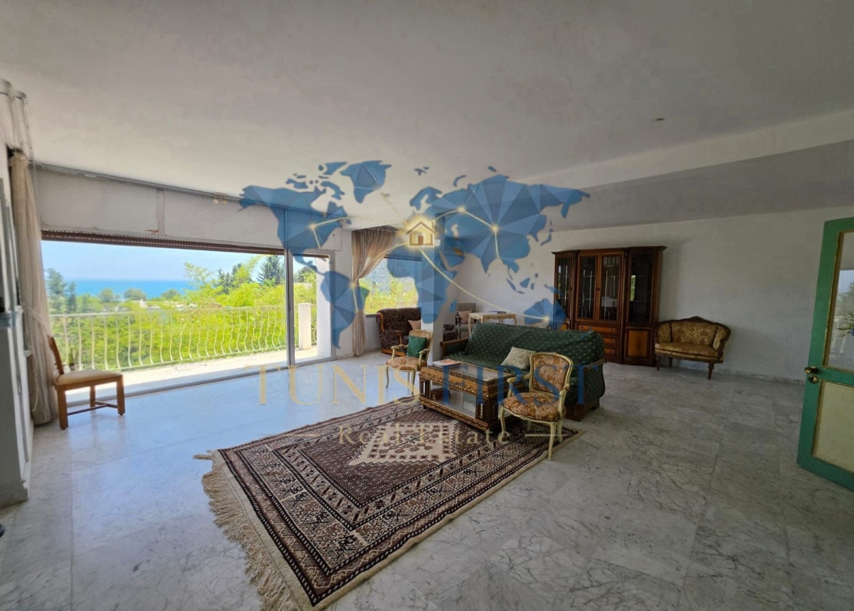 Carthage&nbsp;Carthage&nbsp;Vente&nbsp;Maisons&nbsp;Villa style arabesque  � carthage